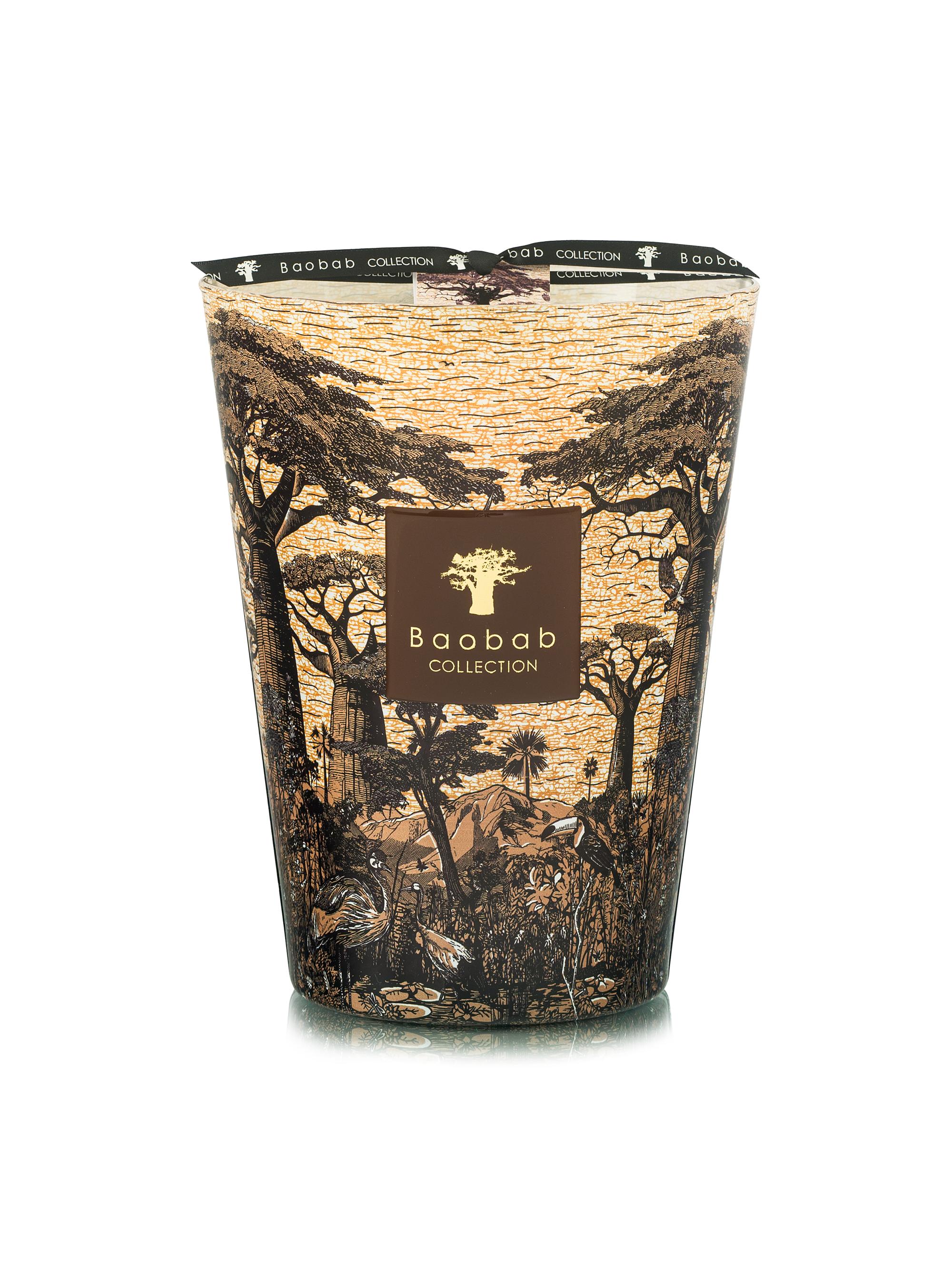 Baobab Collection Sacred Trees Mankono Scented Candle - Brown XL