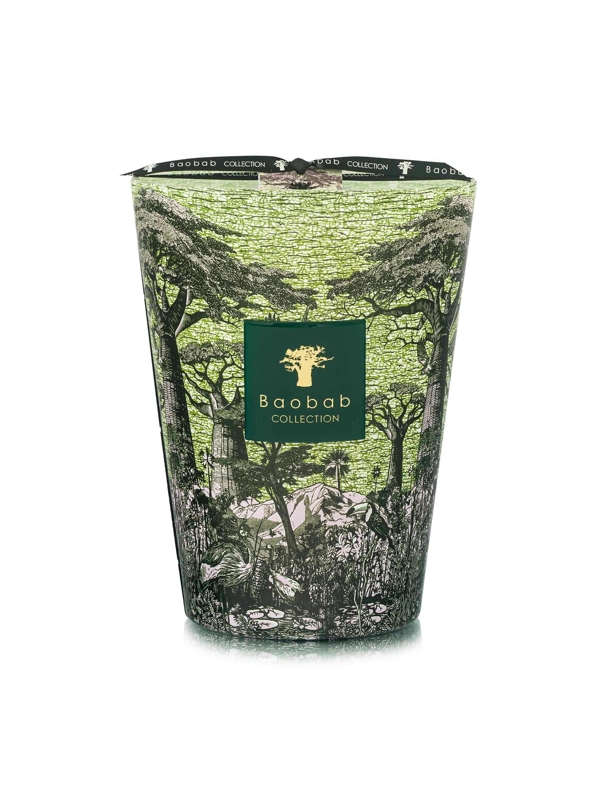 Baobab Collection Sacred Trees Touba Scented Candle - Green Large