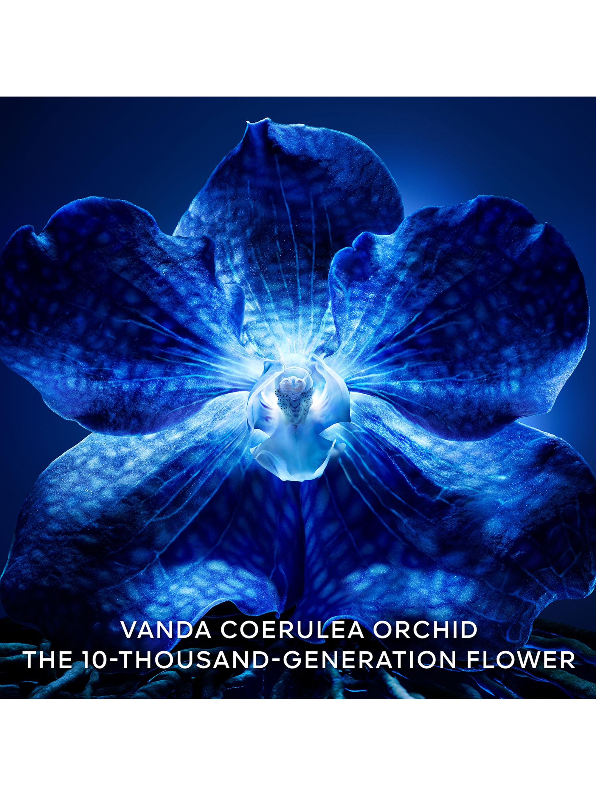 GUERLAIN Orchidée Impériale The Longevity Cream | Saks Fifth Avenue