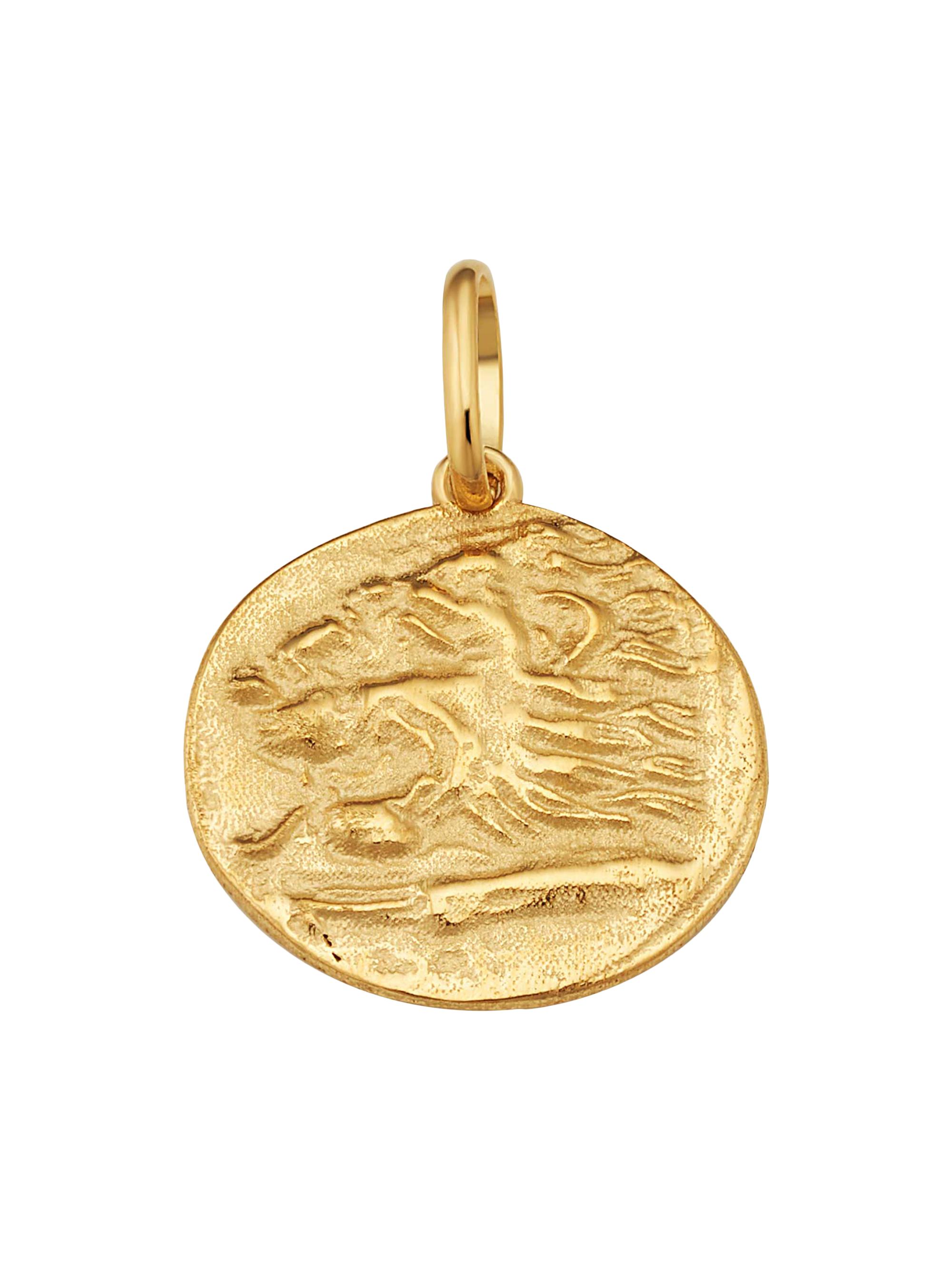 Oradina Women's 14K Yellow Gold Greek Lion Medallion Pendant Charm - Gold
