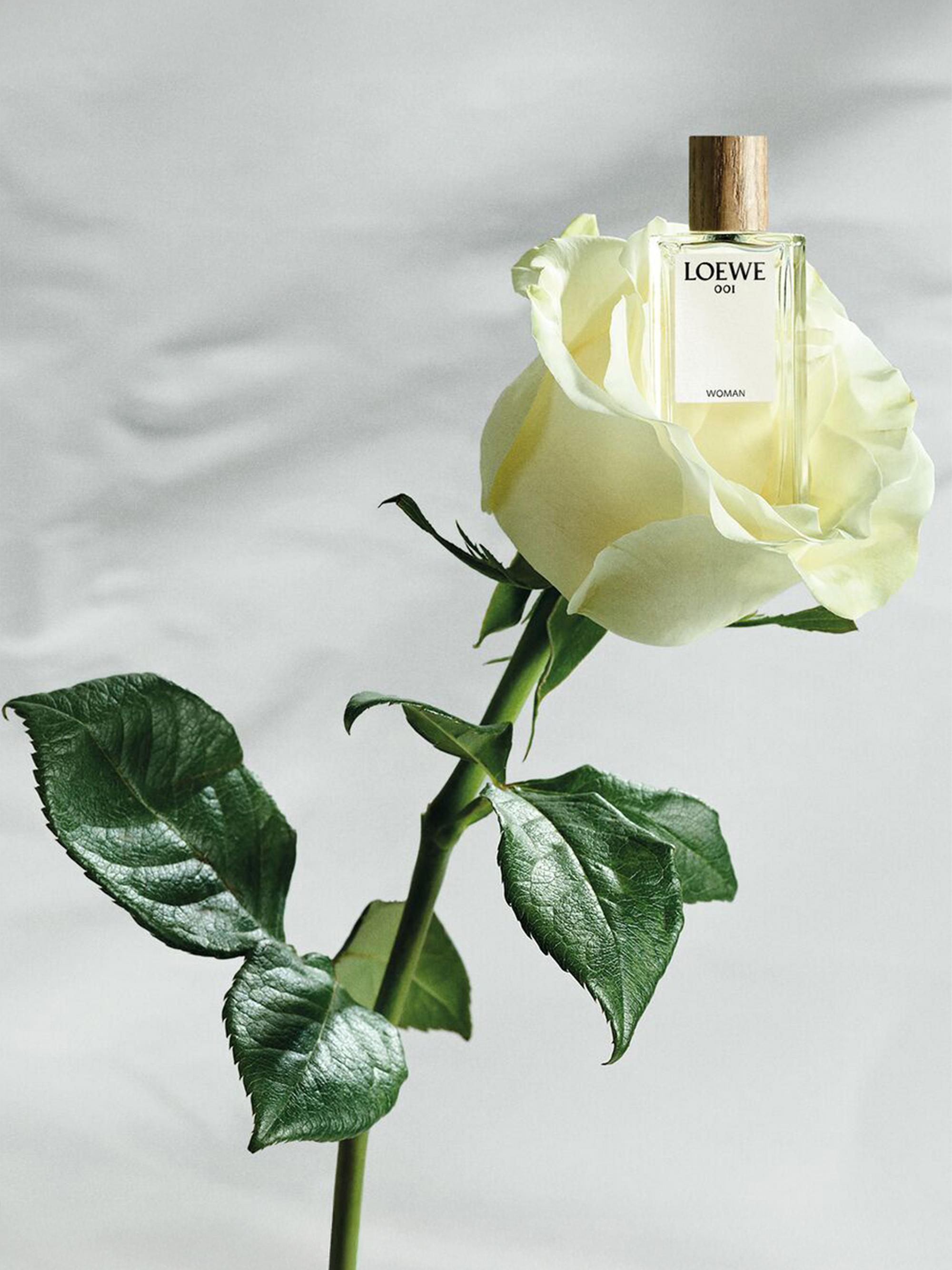 LOEWE Perfumes Botanical Rainbow Miniature Fragrance 5-Piece