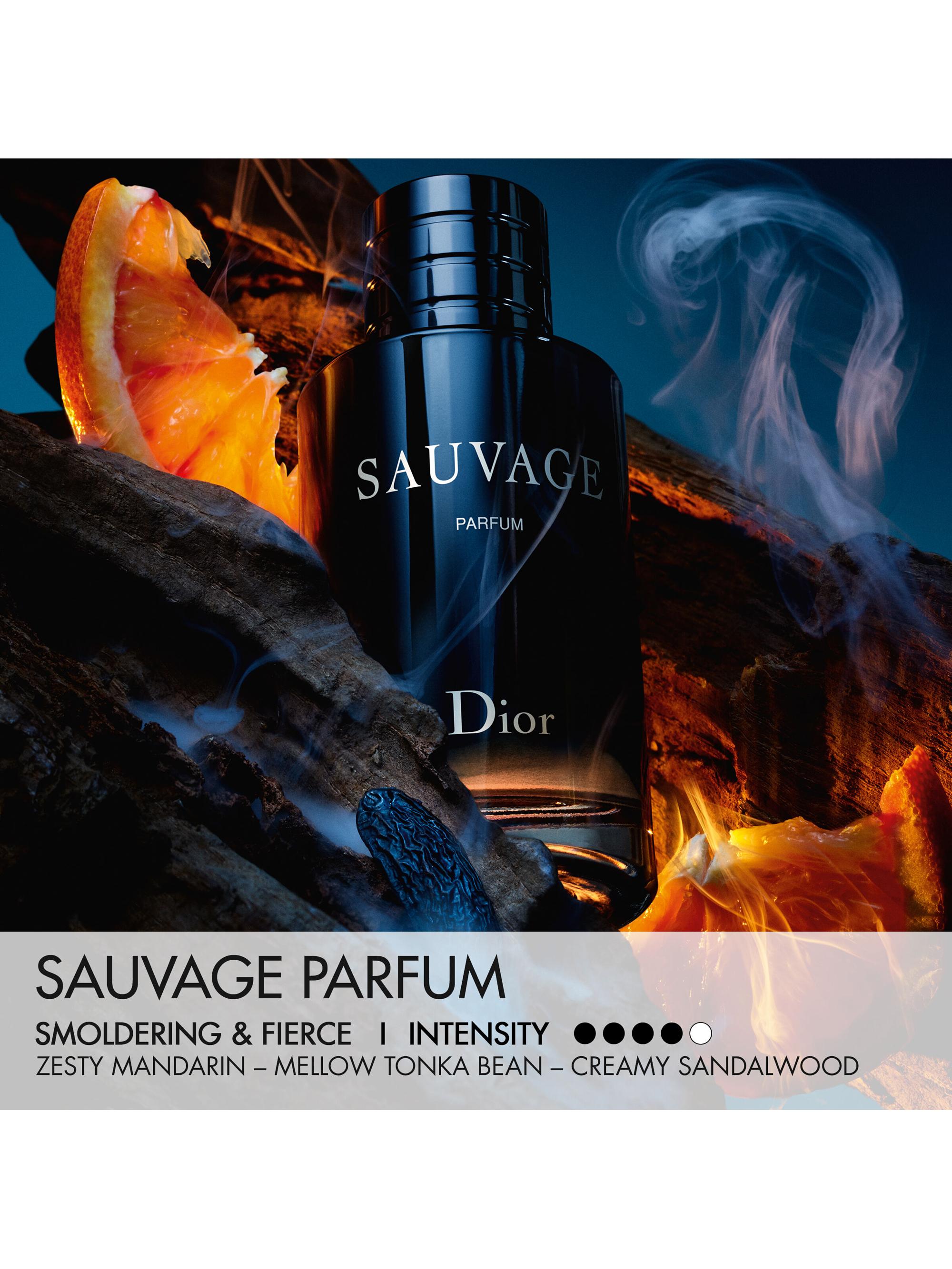 DIOR DIOR Sauvage Parfum & Travel Spray Gift Set | Saks Fifth Avenue