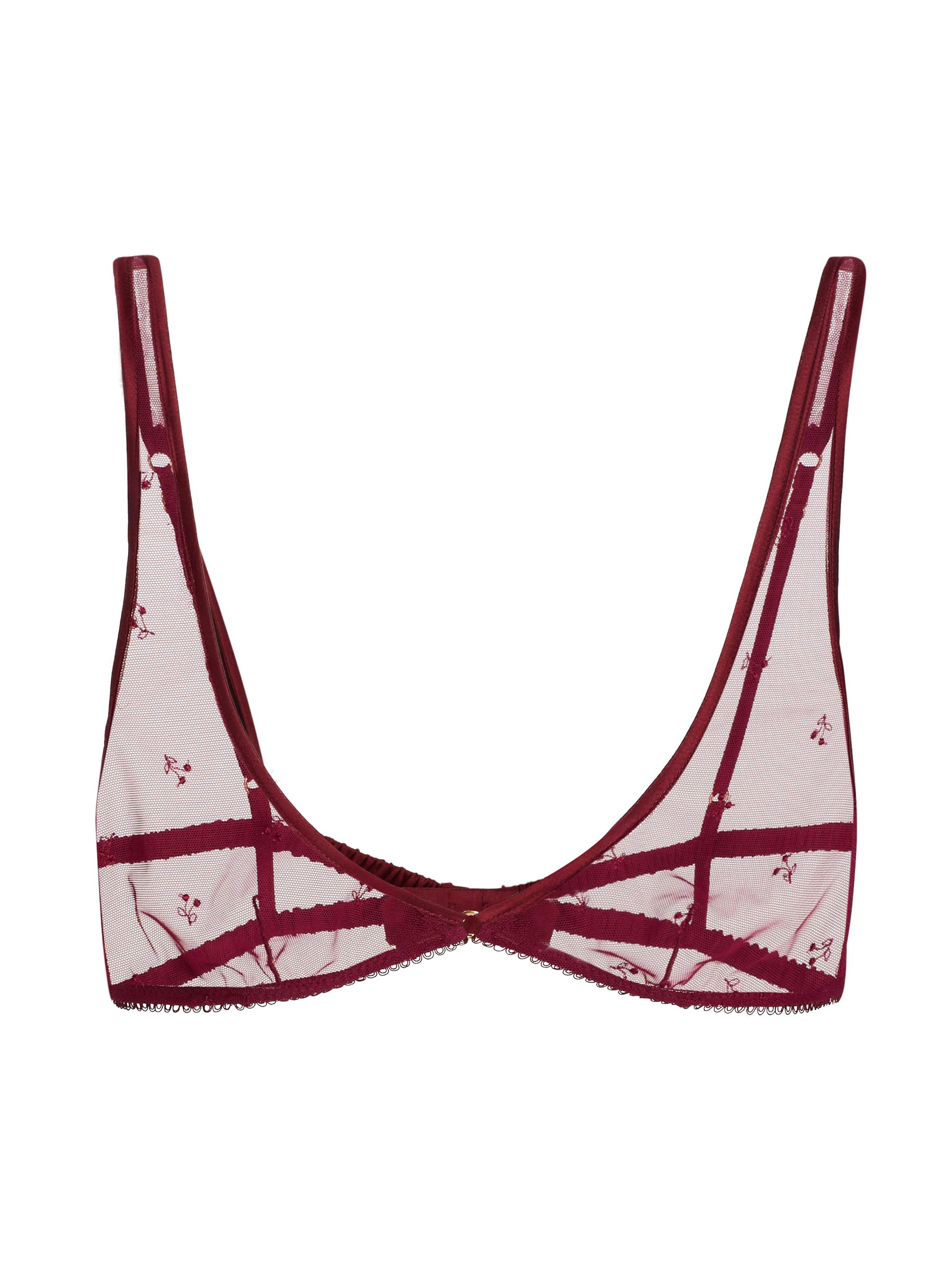 Kiki de Montparnasse Women's Cerise Embroidered Mesh Bra - Ruby