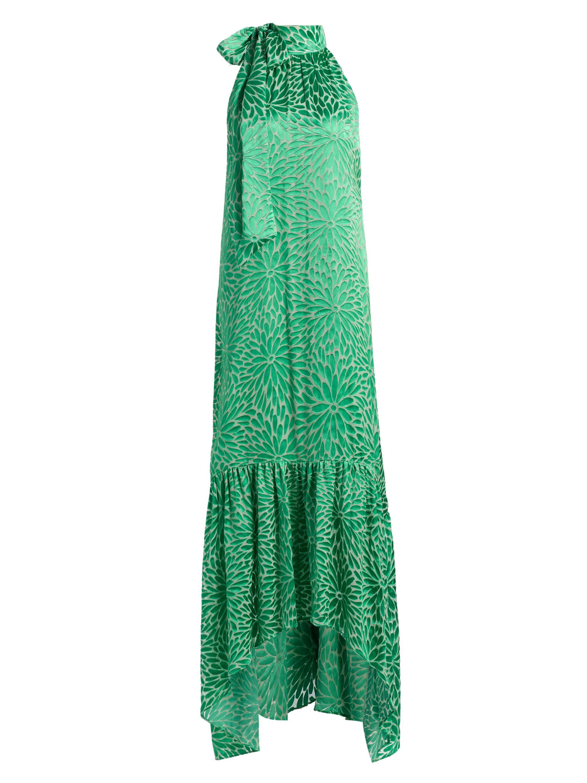 Ramy Brook Women's Nickola Floral-Textured Maxi Dress - Bright Palm Burnout