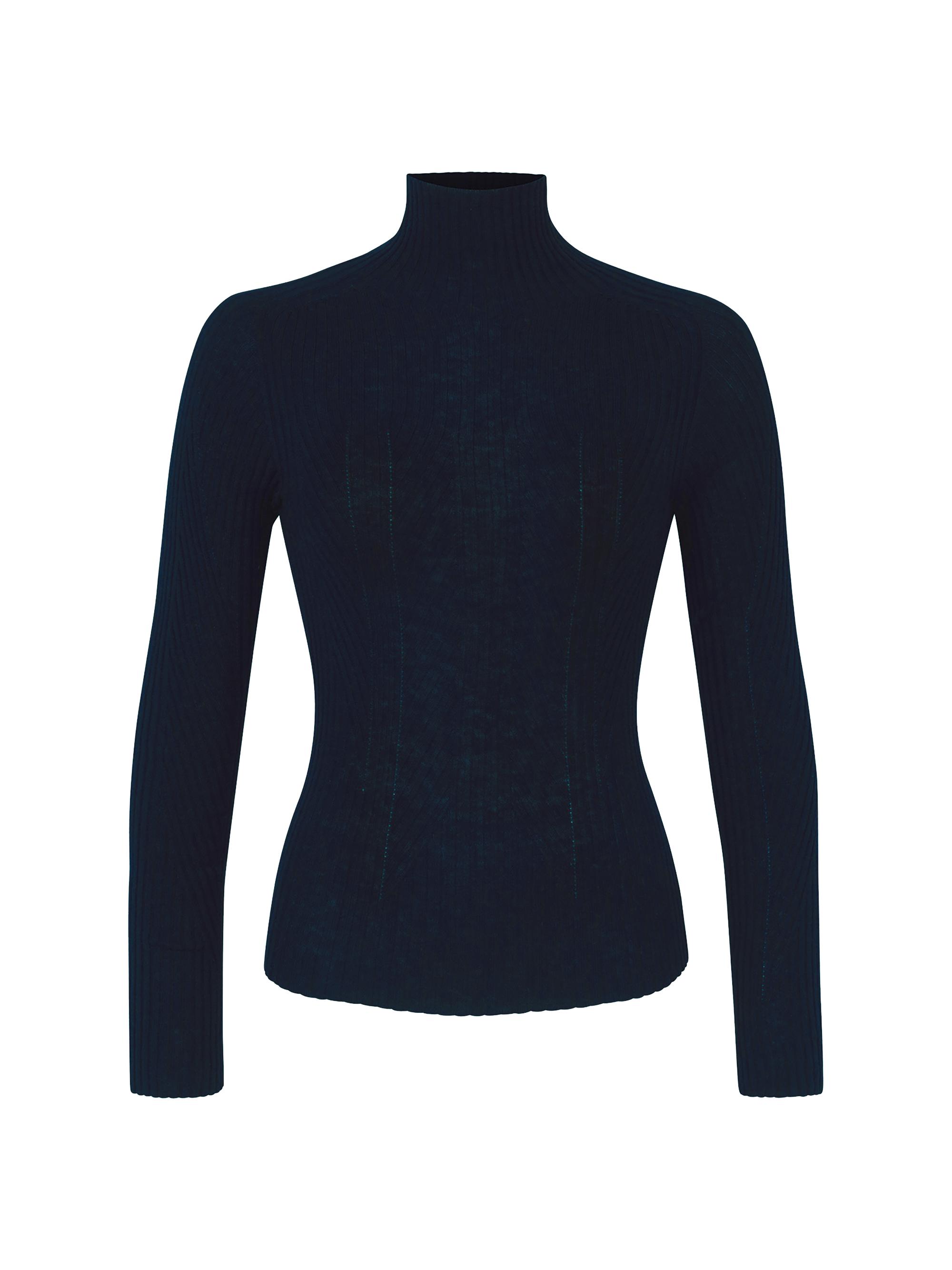 Knit Turtleneck Sweater