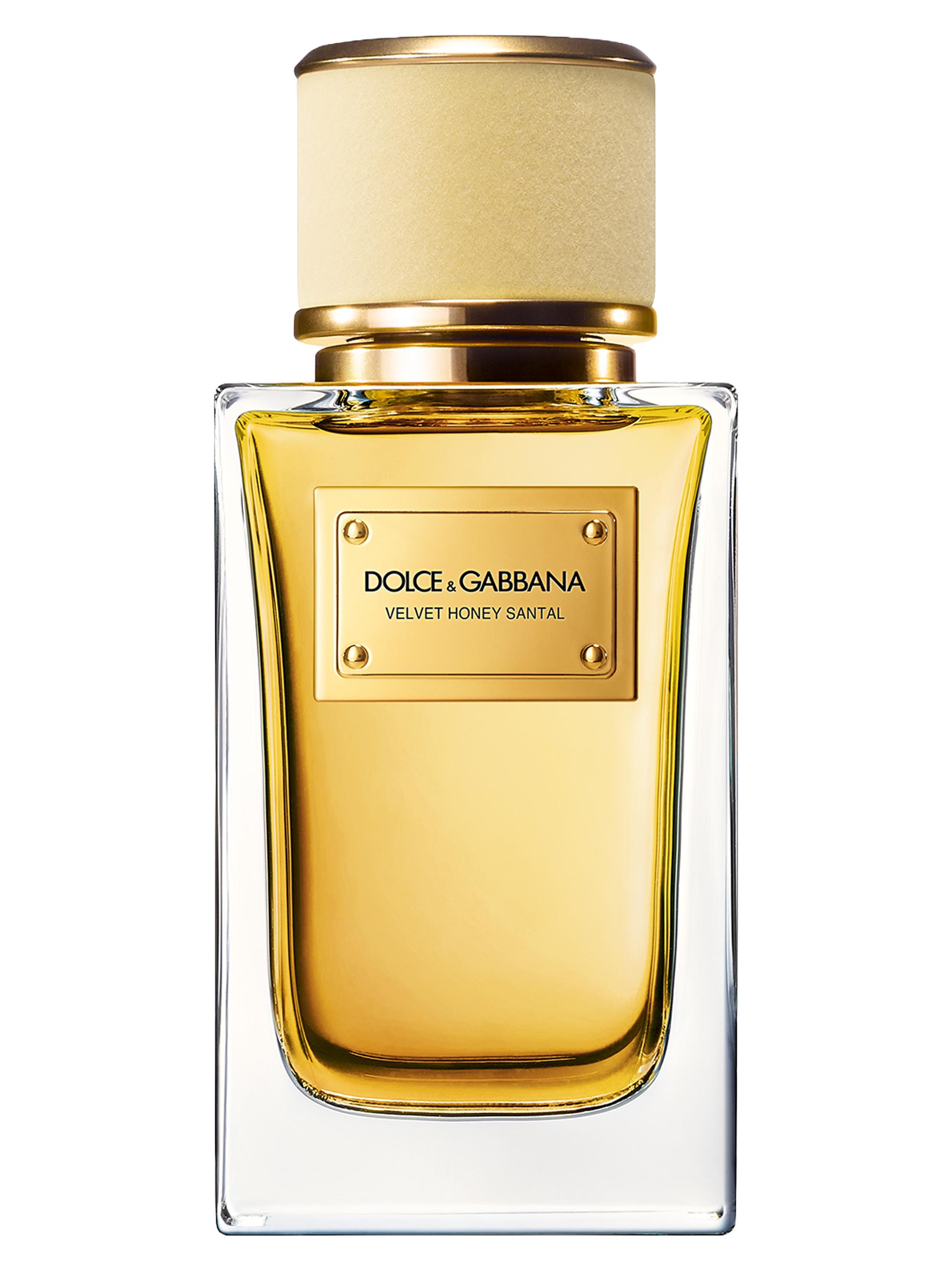 Dolce & Gabbana Velvet Vetiver 香水 Dolce&Gabbana Velvet Vetiver Eau de Parfum | Saks Fifth Avenue