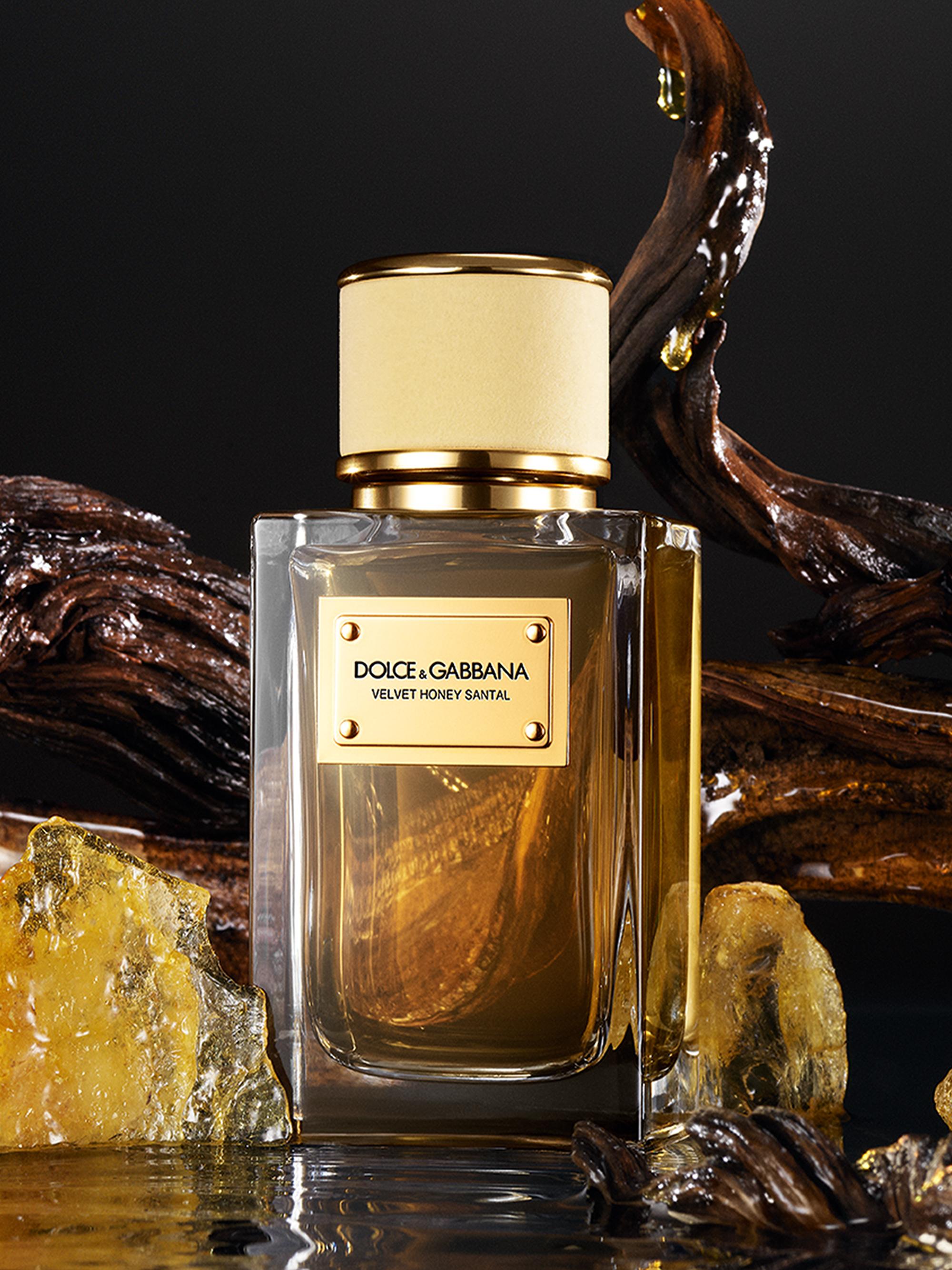 Dolce&Gabbana Velvet Honey Santal Eau de Parfum | Saks Fifth Avenue