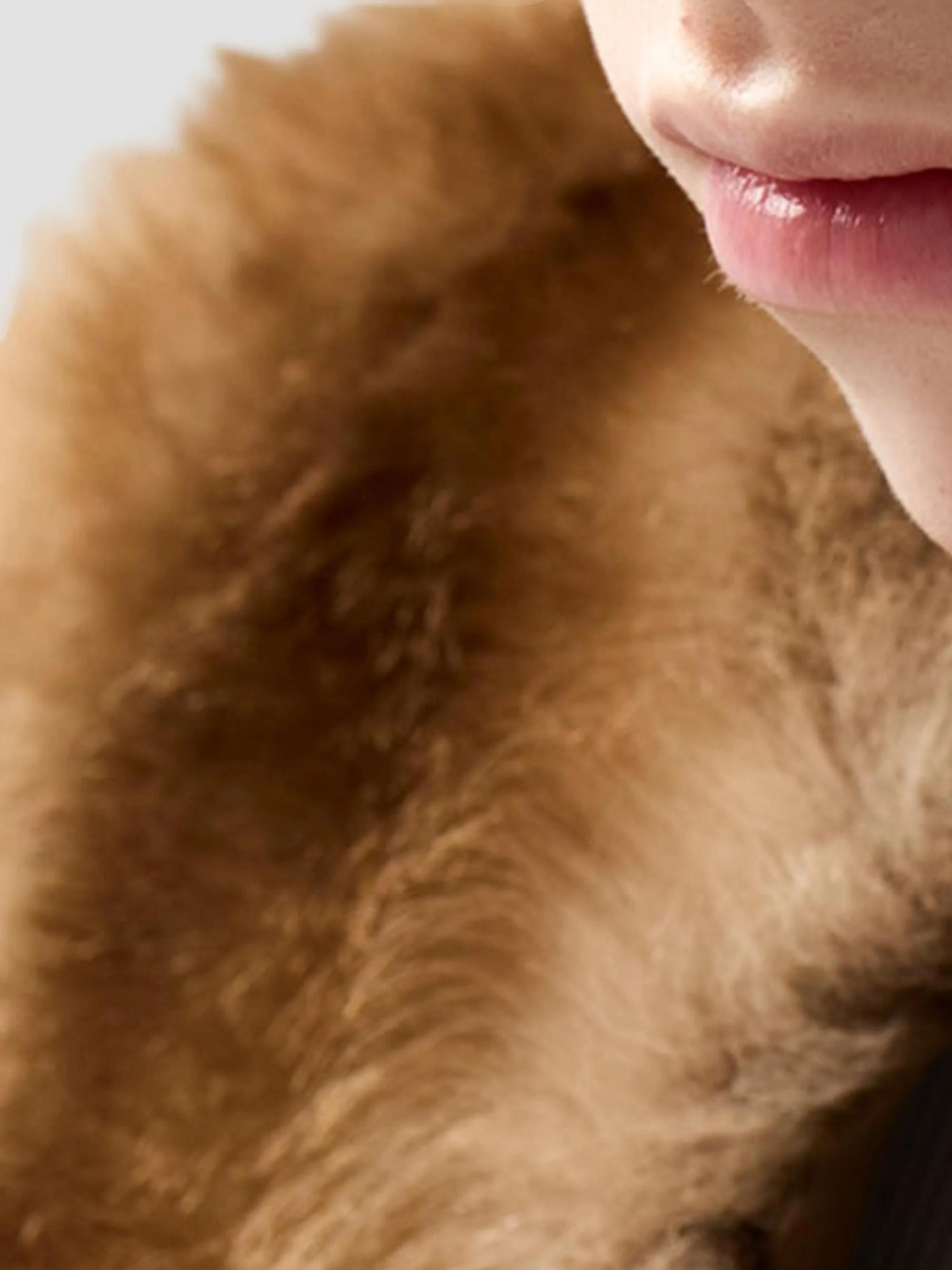 Miu Miu Shearling Coat | Saks Fifth Avenue