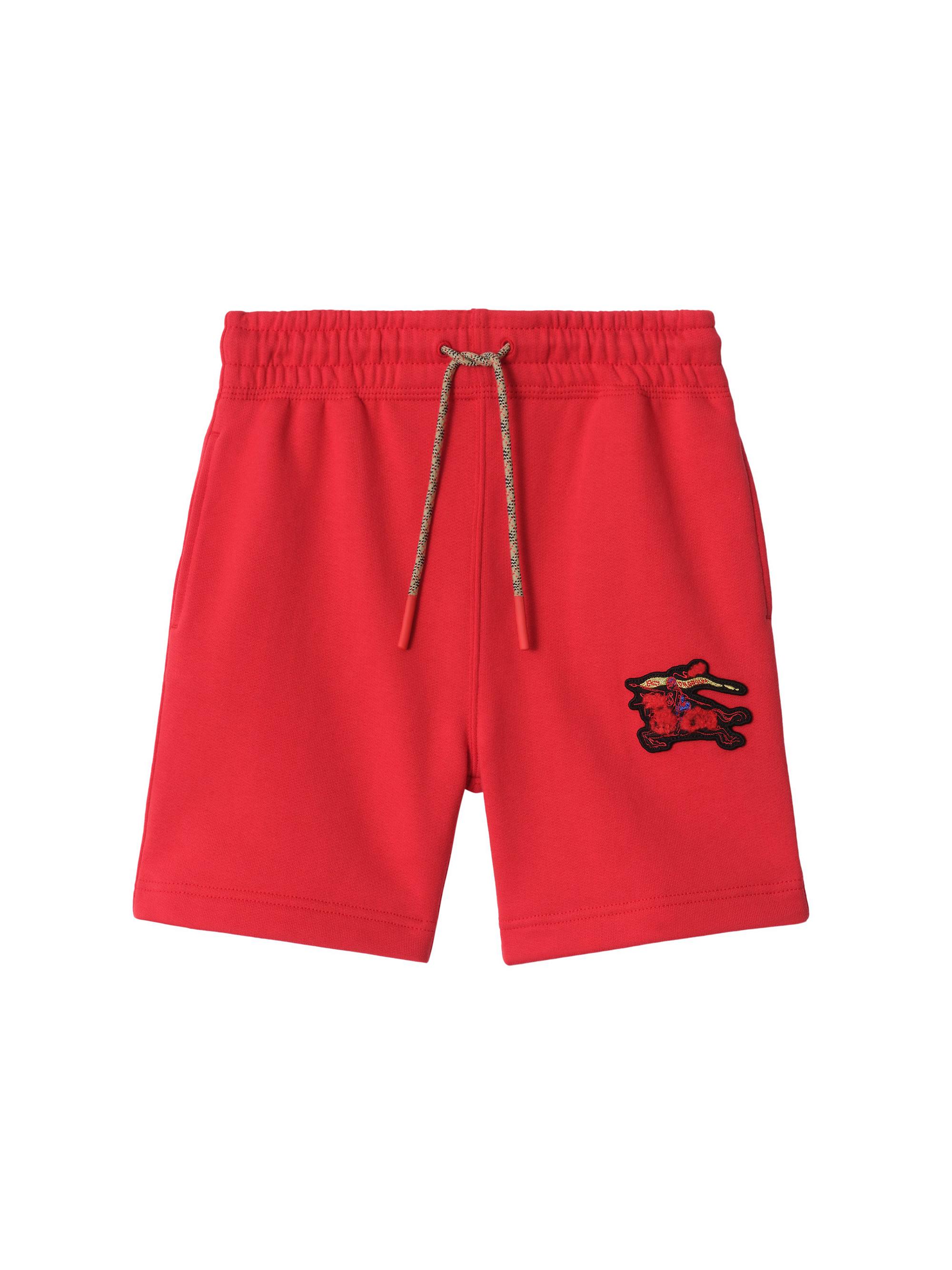 Burberry Little Boy's & Boy's Benny EKD Drawstring Shorts - Crayon Red