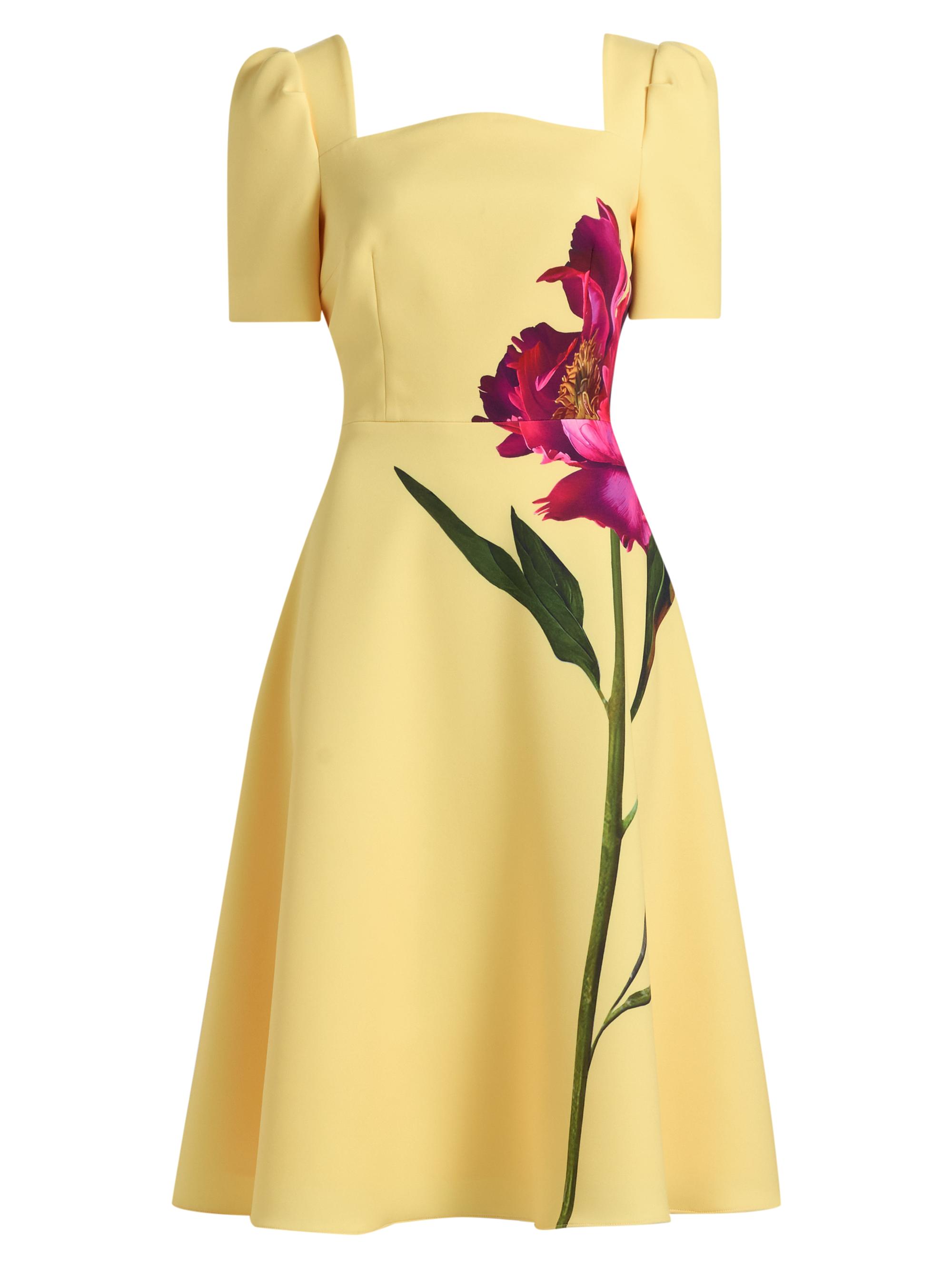 Teri Jon by Rickie Freeman Women's Flower Scuba A-Line Midi-Dress - Yellow Multi