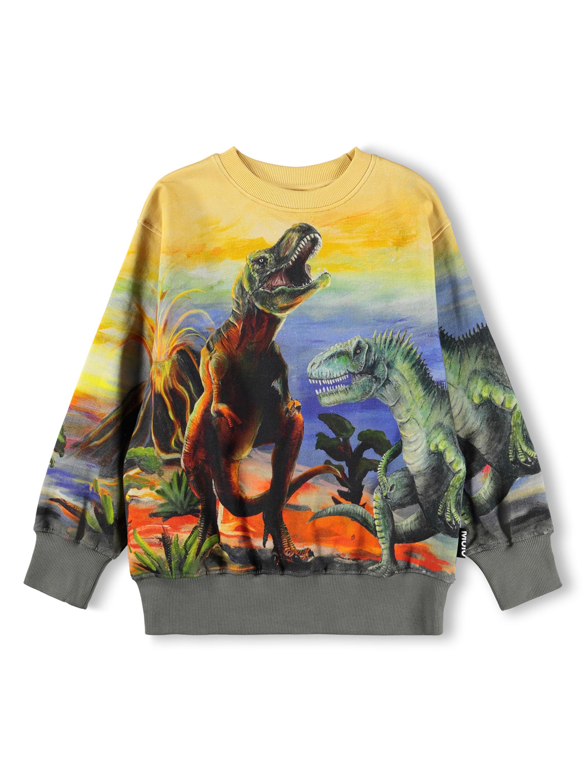 Little Boy's Dinosaur-Print Cotton Sweatshirt