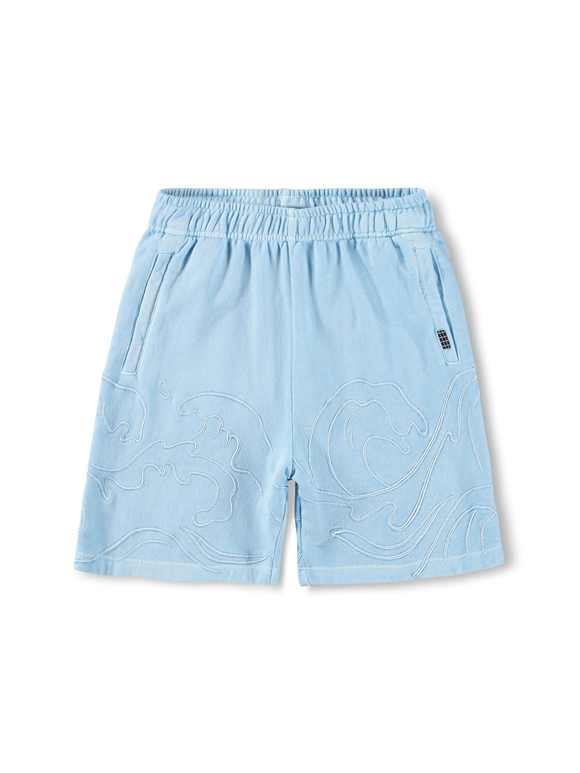 Molo Little Boy's & Boy's Embroidered Wave Shorts - Stream