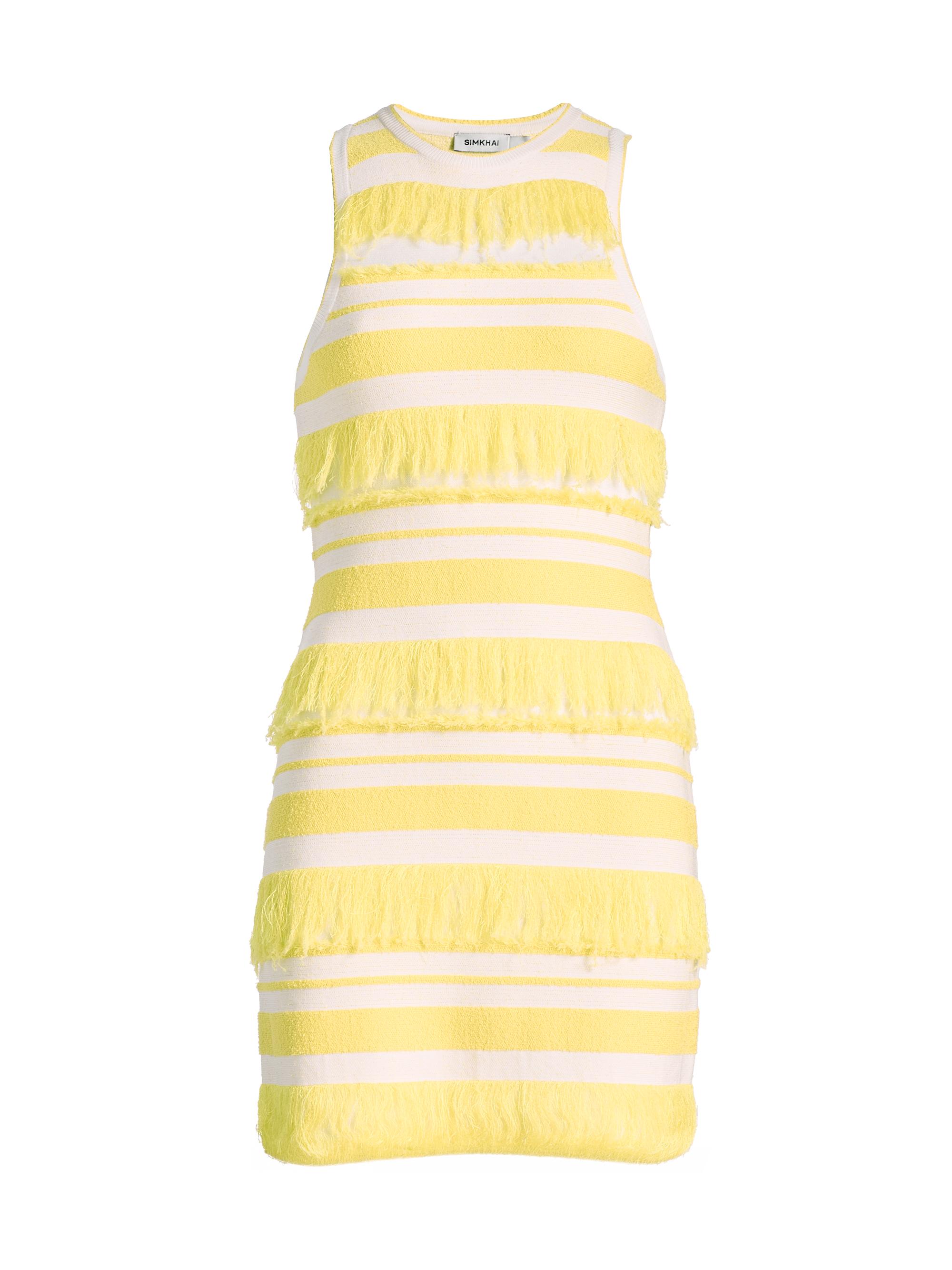 SIMKHAI Women's Elly Striped Fringe Knit Minidress - Solar Stripe