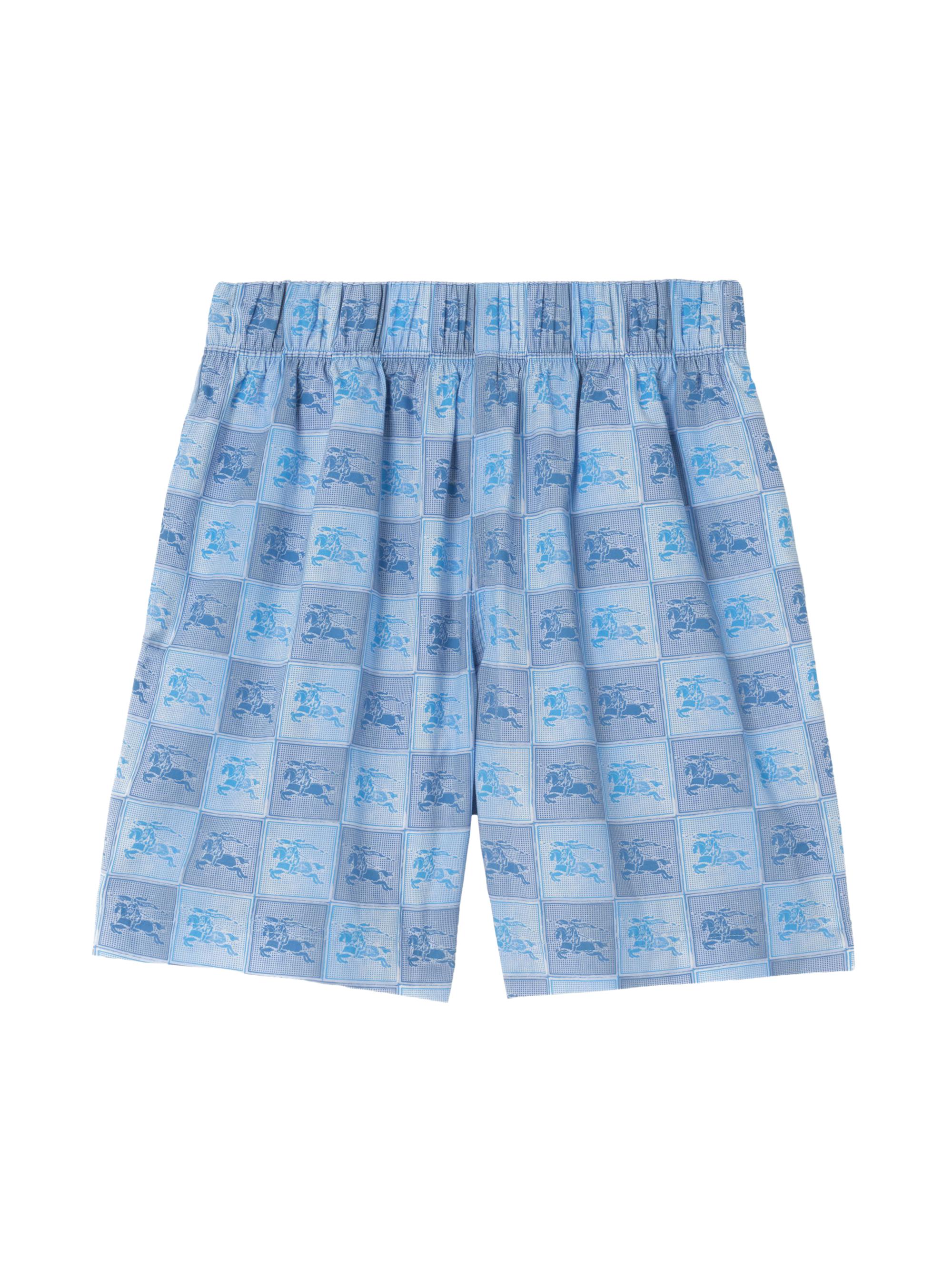 Burberry Little Boy's & Boy's Check EKD Shorts - Cornflower