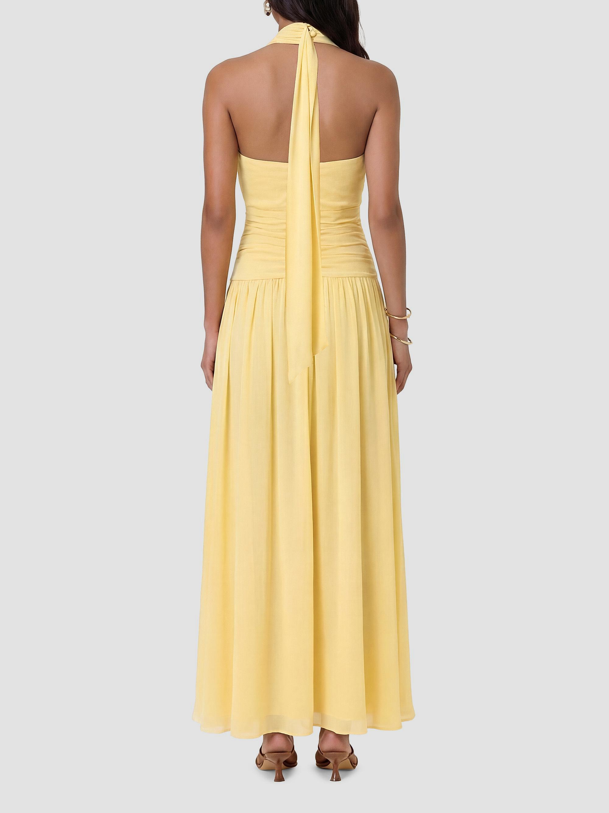 arella maxi dress Petal and Pup Women's Arella Maxi Dress