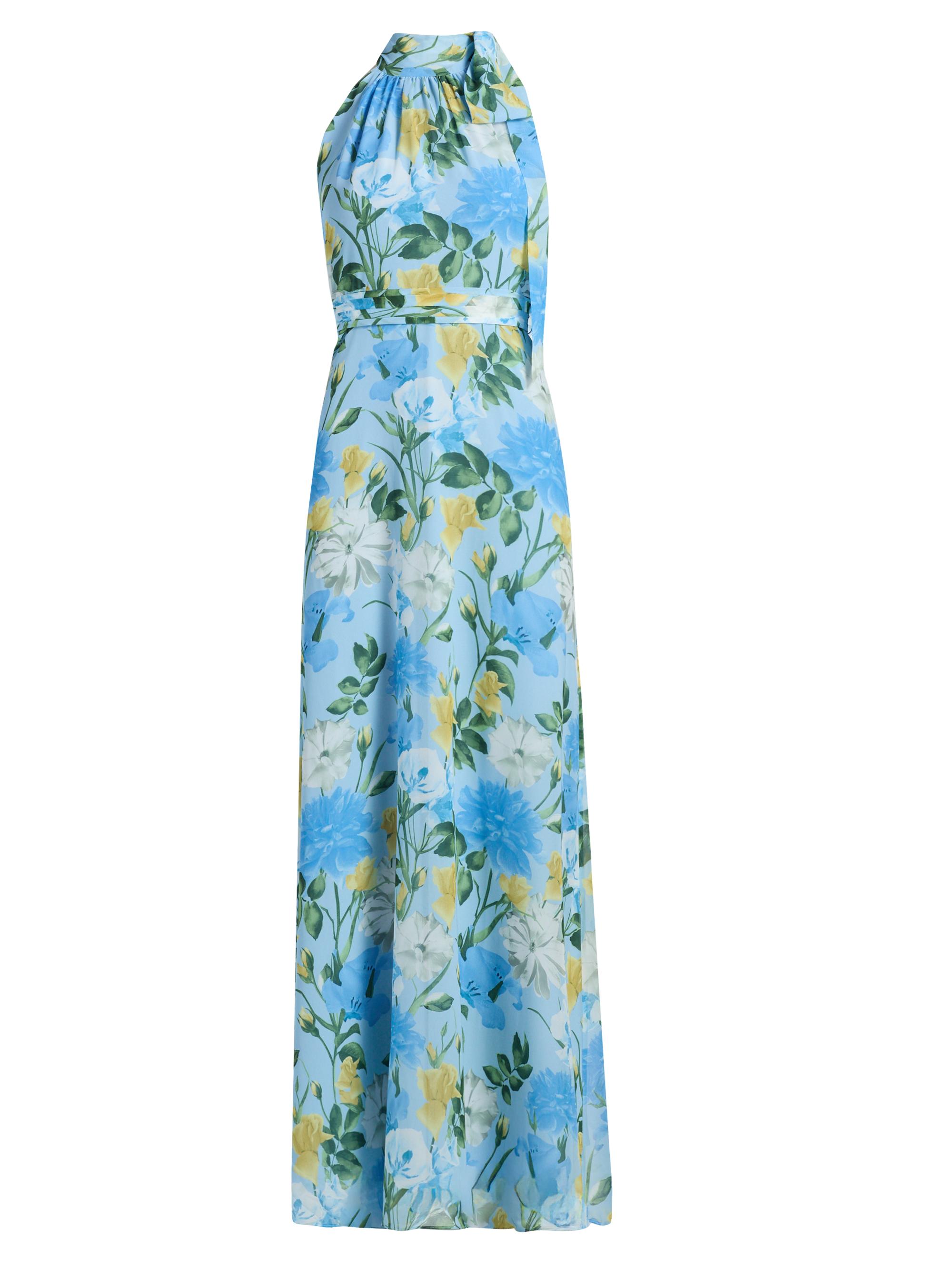 SACHIN BABI Women's Diana Floral Chiffon Maxi Dress - Sunshine And Sea Serenade