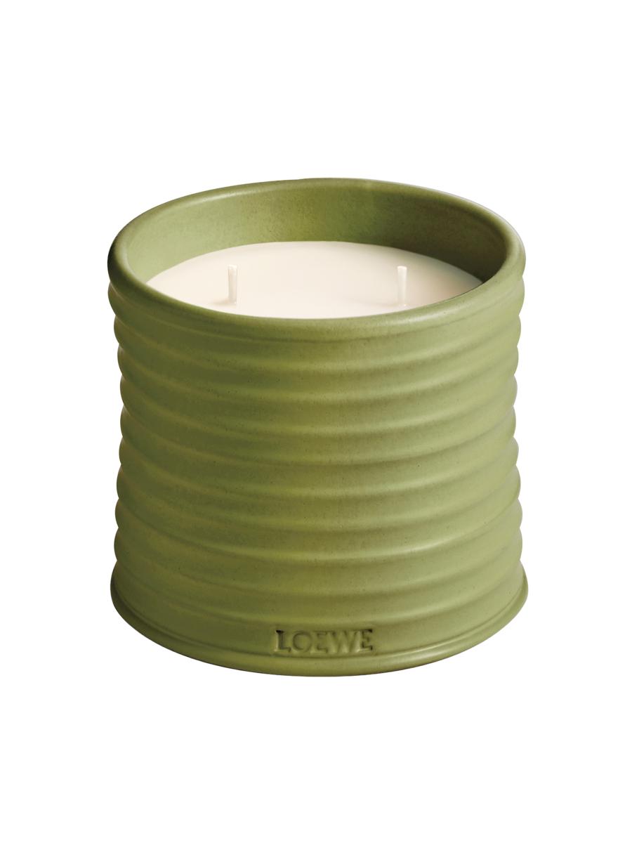 LOEWE Perfumes LOEWE Pistachio Scented Candle | Saks Fifth Avenue