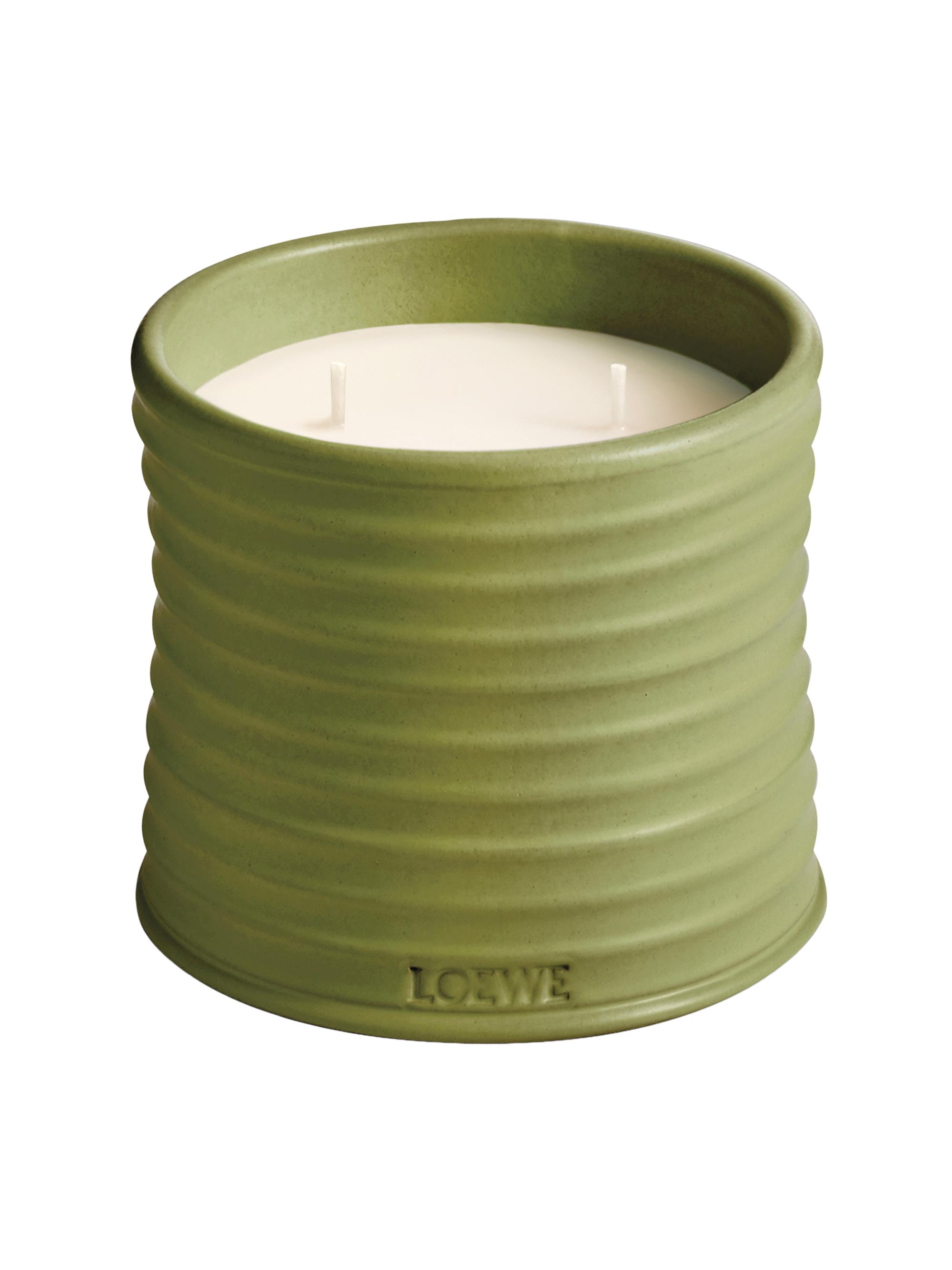 LOEWE LOEWE Pistachio Scented Candle | Saks Fifth Avenue