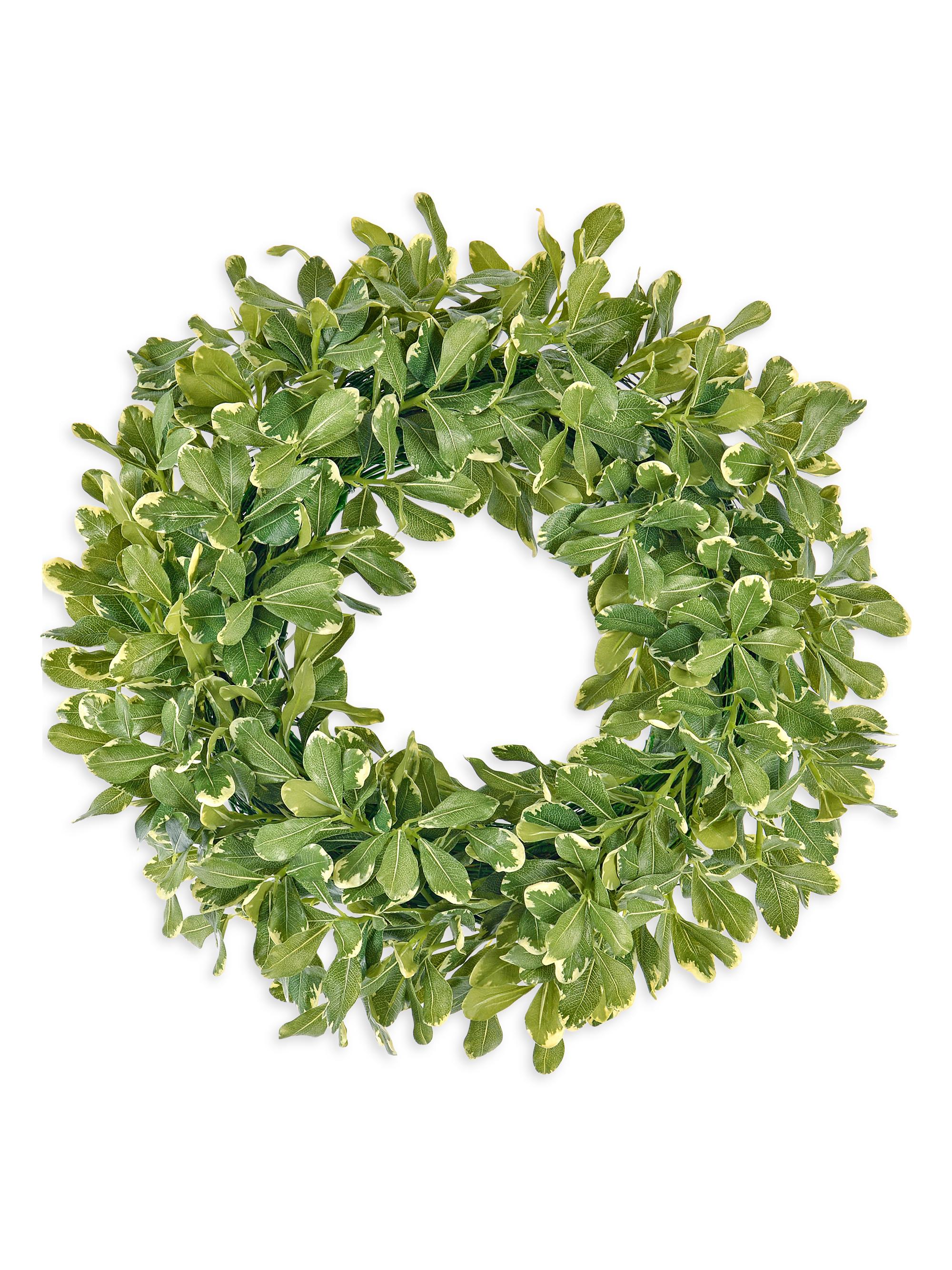 Winward Home Everyday Newness Refresh Pittosporum Spray Wreath - Green | Thumbnail 2