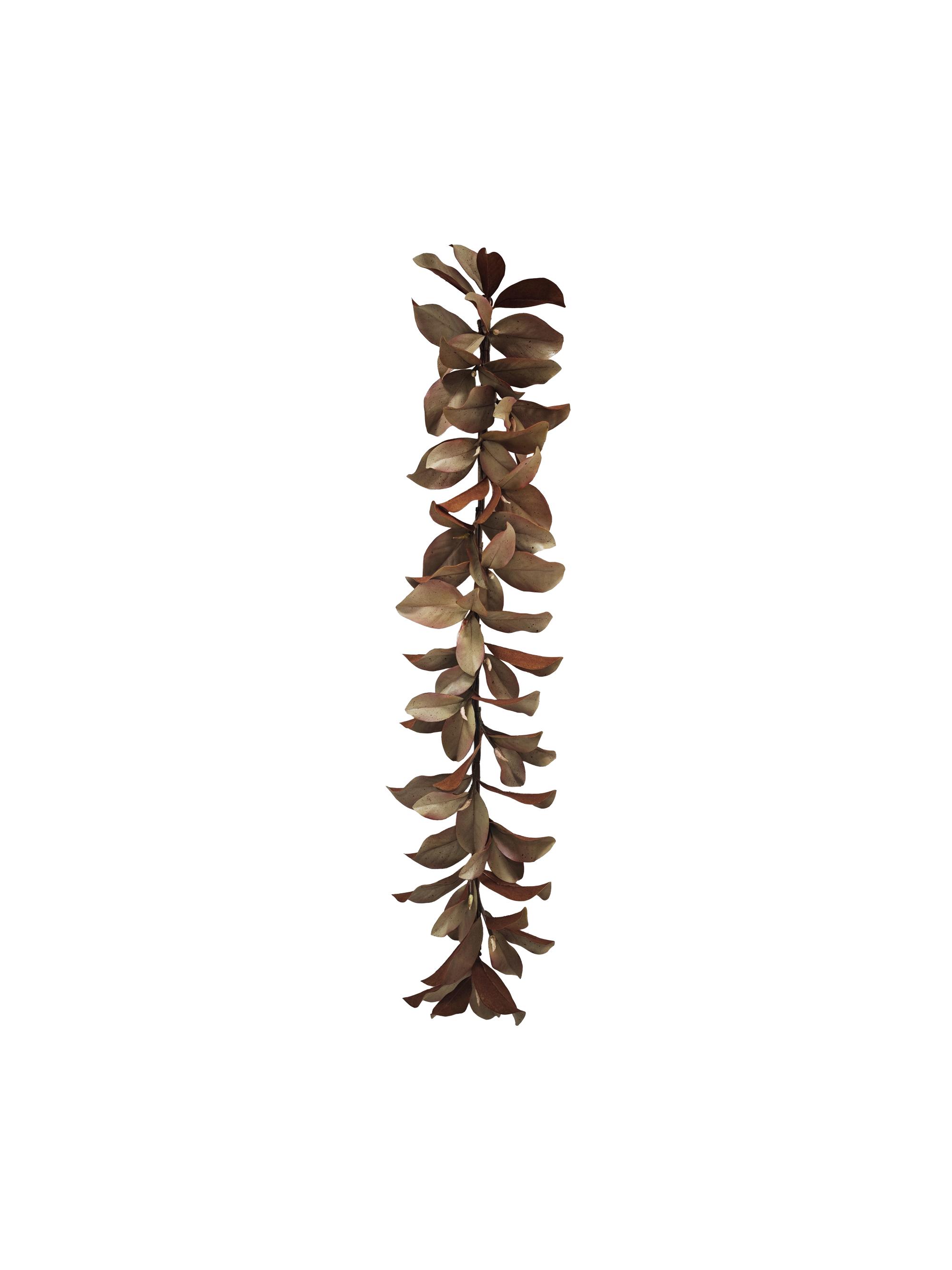 Winward Home Artificial Dry Magnolia Leaf Garland | Thumbnail 2