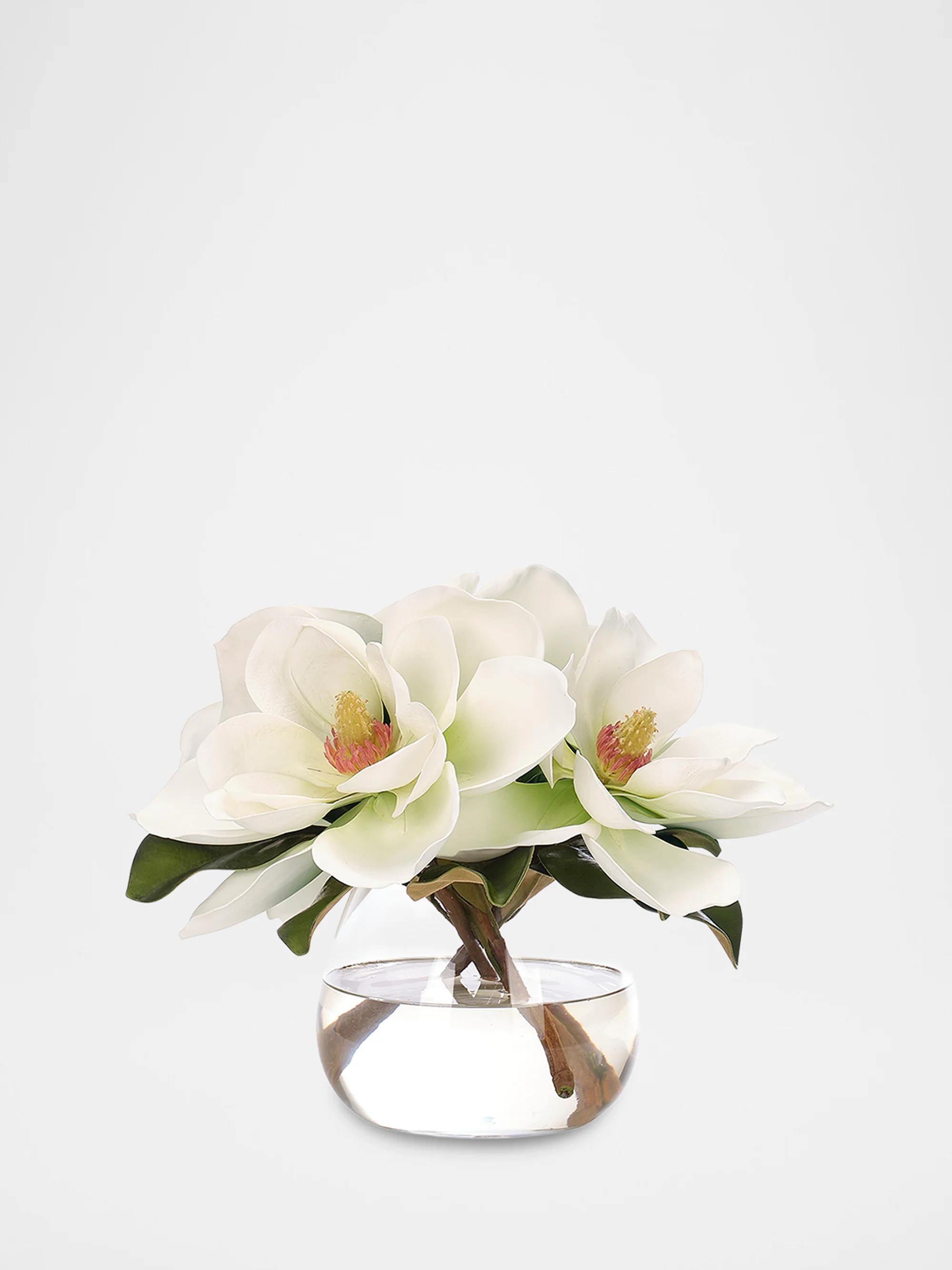 NDI Magnolias Faux Floral Arrangement in Glass Vase - White