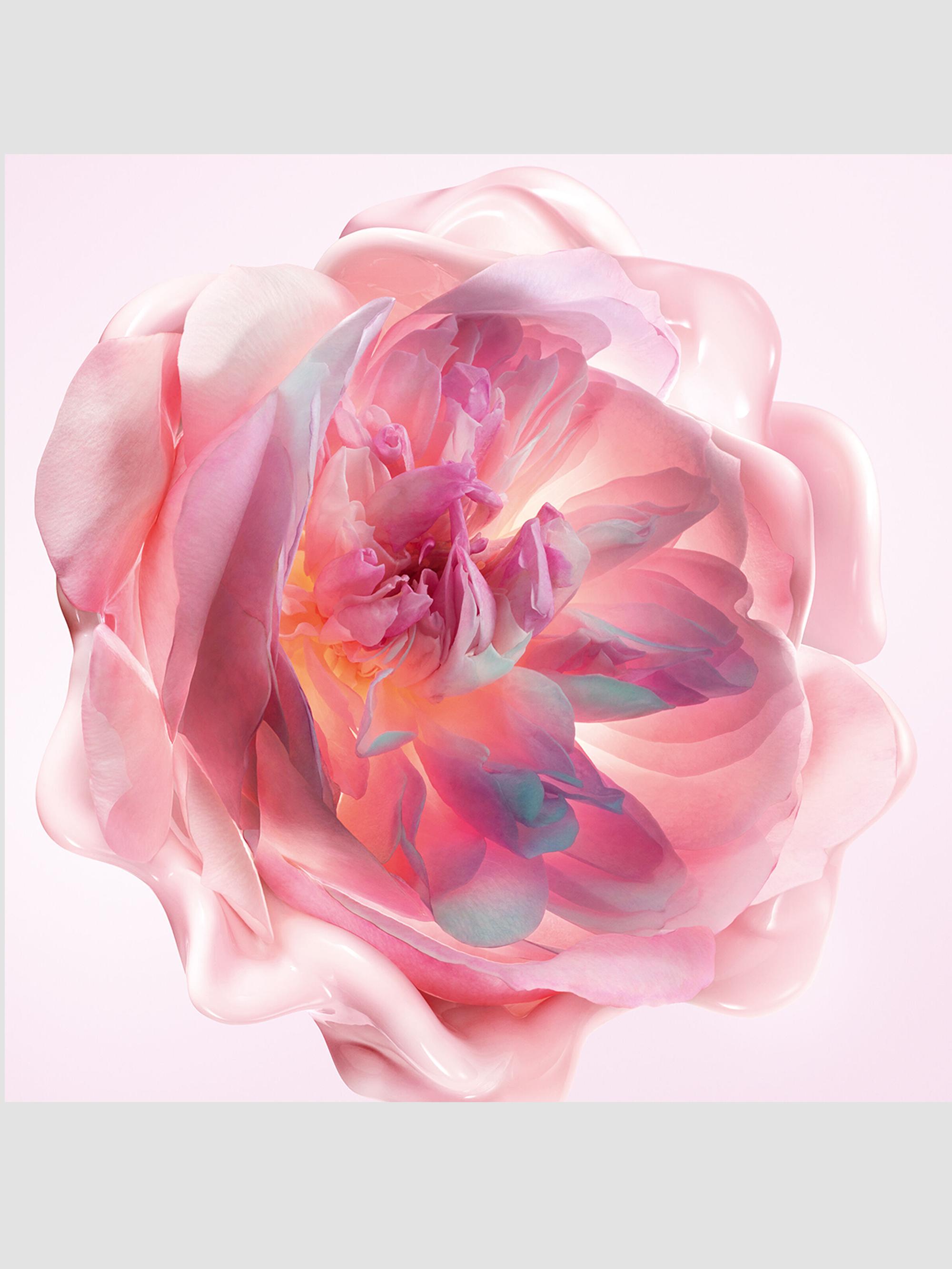 Dior Miss Dior Melt-In Hand Cream | Saks Fifth Avenue