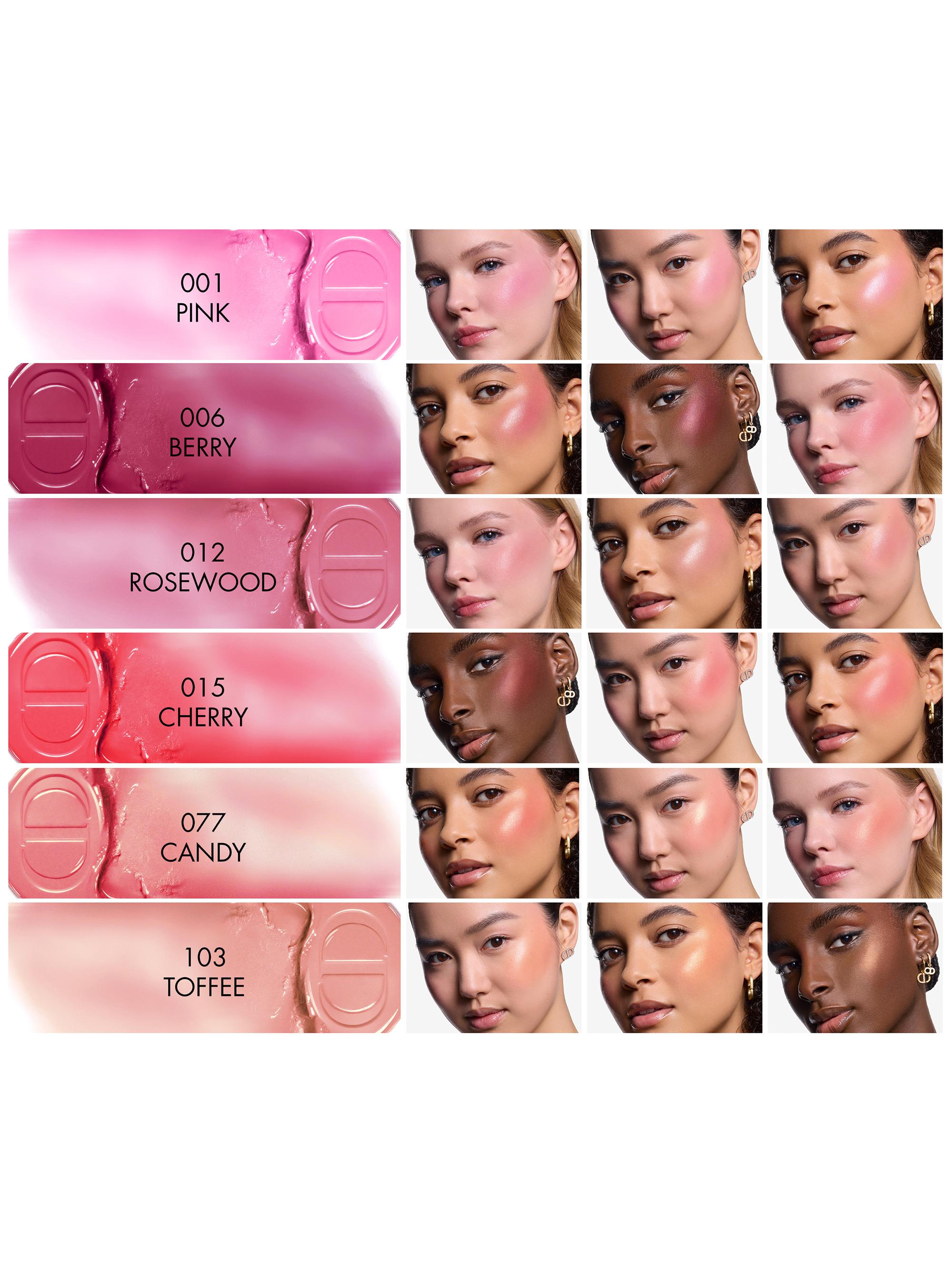 Dior Dior Backstage Rosy Glow Blush Stick | Saks Fifth Avenue