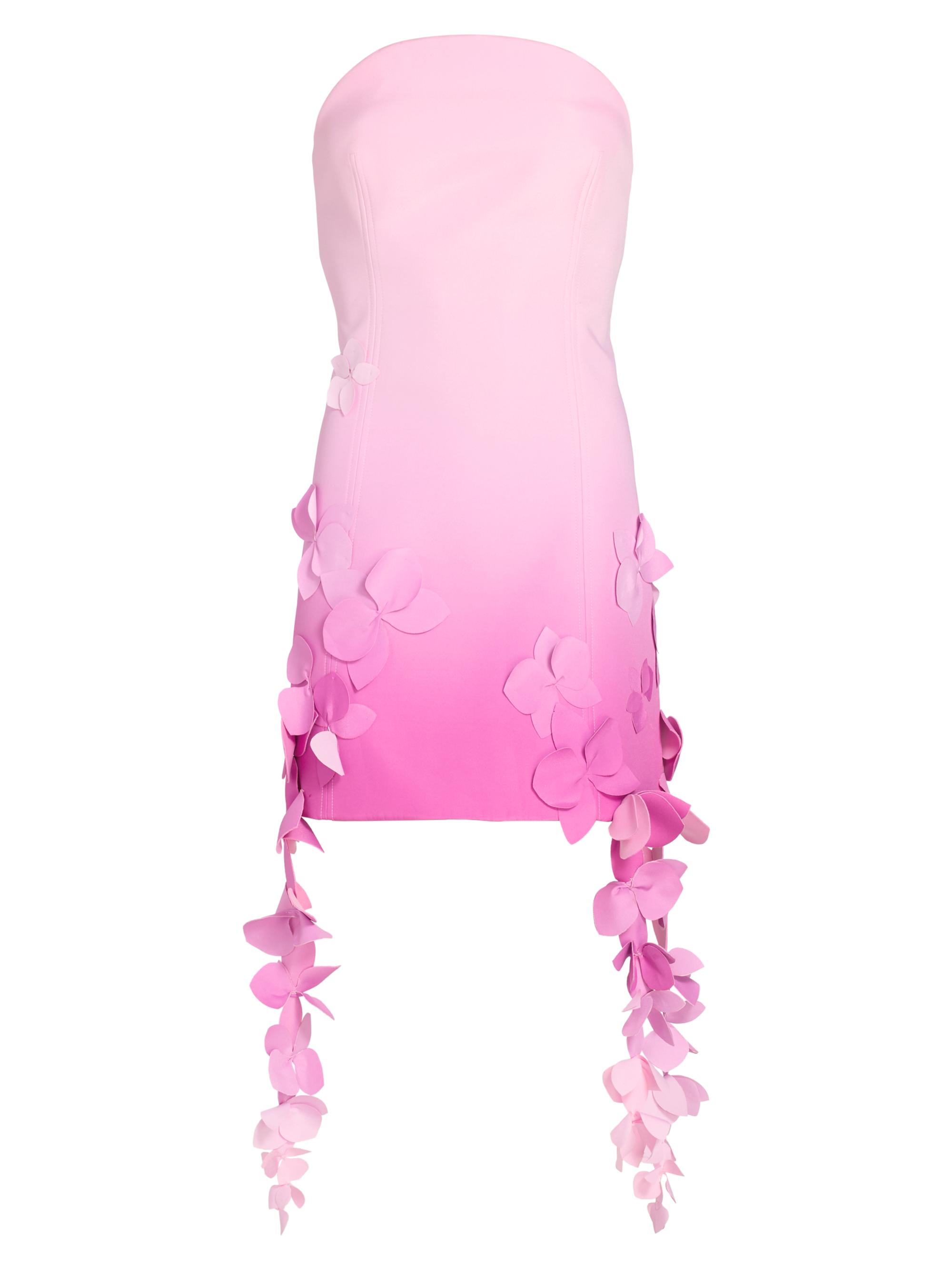 Acler Women's Forever Young Sandia Ombré Strapless Minidress - Taffy Ombre