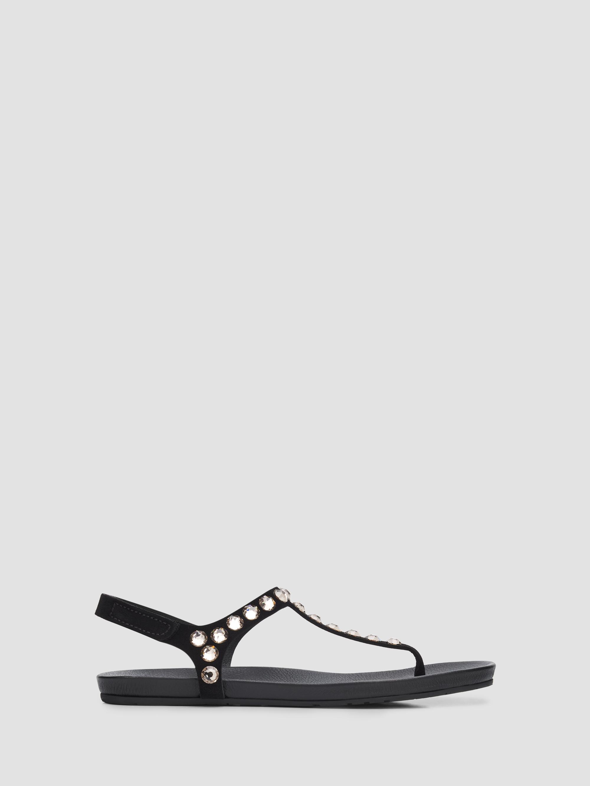 Pedro Garcia Women's Judith Embellished Suede T-Strap Sandals - Black Castoro Greige