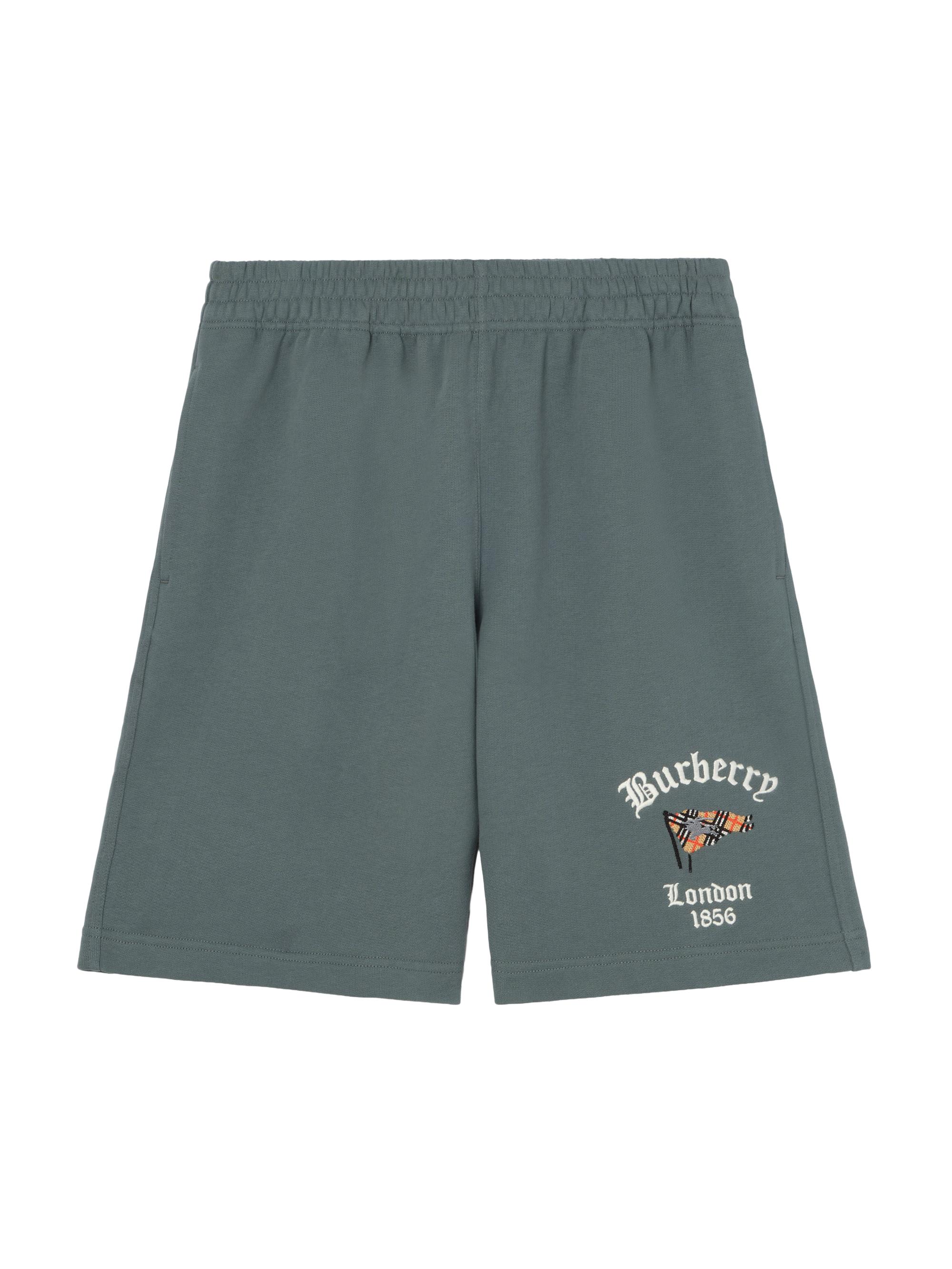 Burberry Martin Checkered Drawstring Swim Shorts | Saks Fifth Avenue