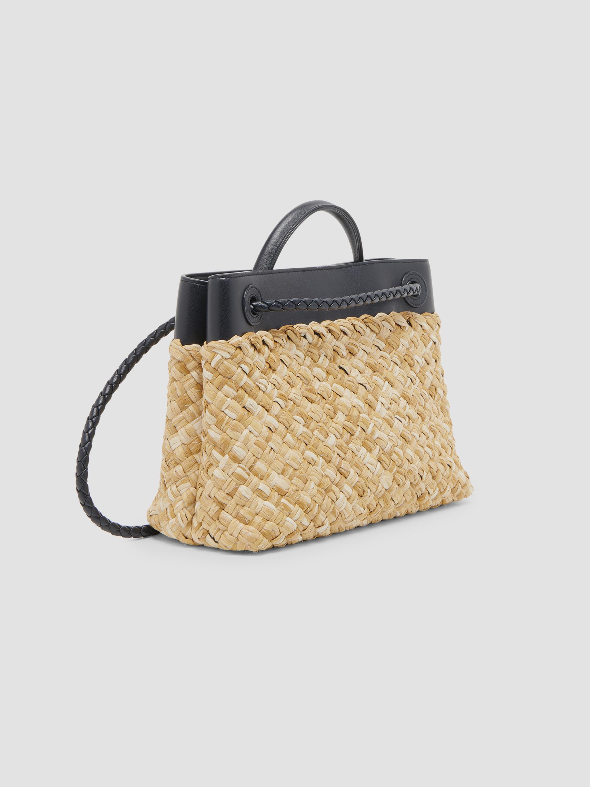Bottega Veneta Andiamo Small Raffia & Leather Top Handle Bag