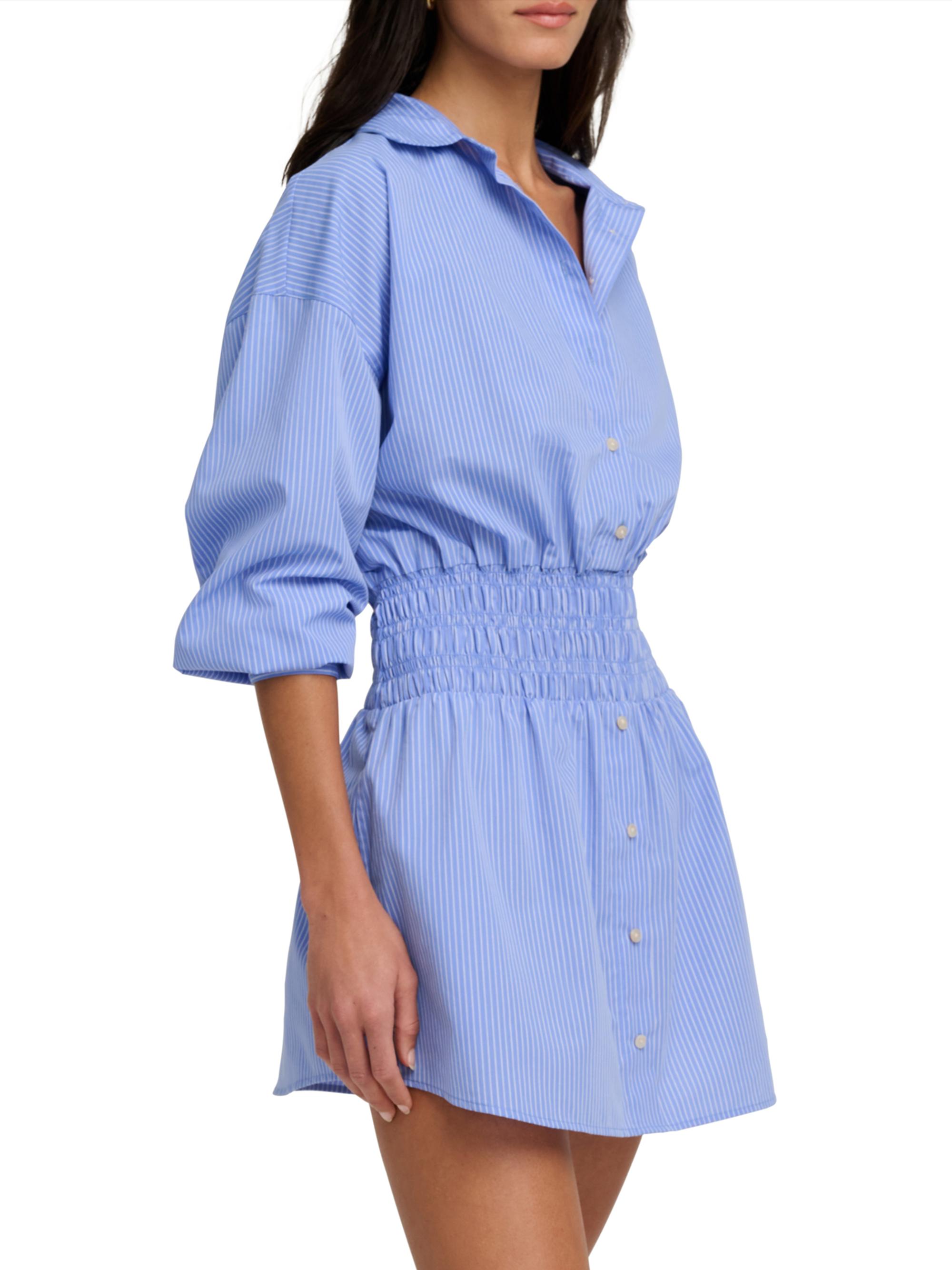 Favorite Daughter Women's The Waist Not Smocked Mini-Shirtdress - Blue White Stripe | Thumbnail 4
