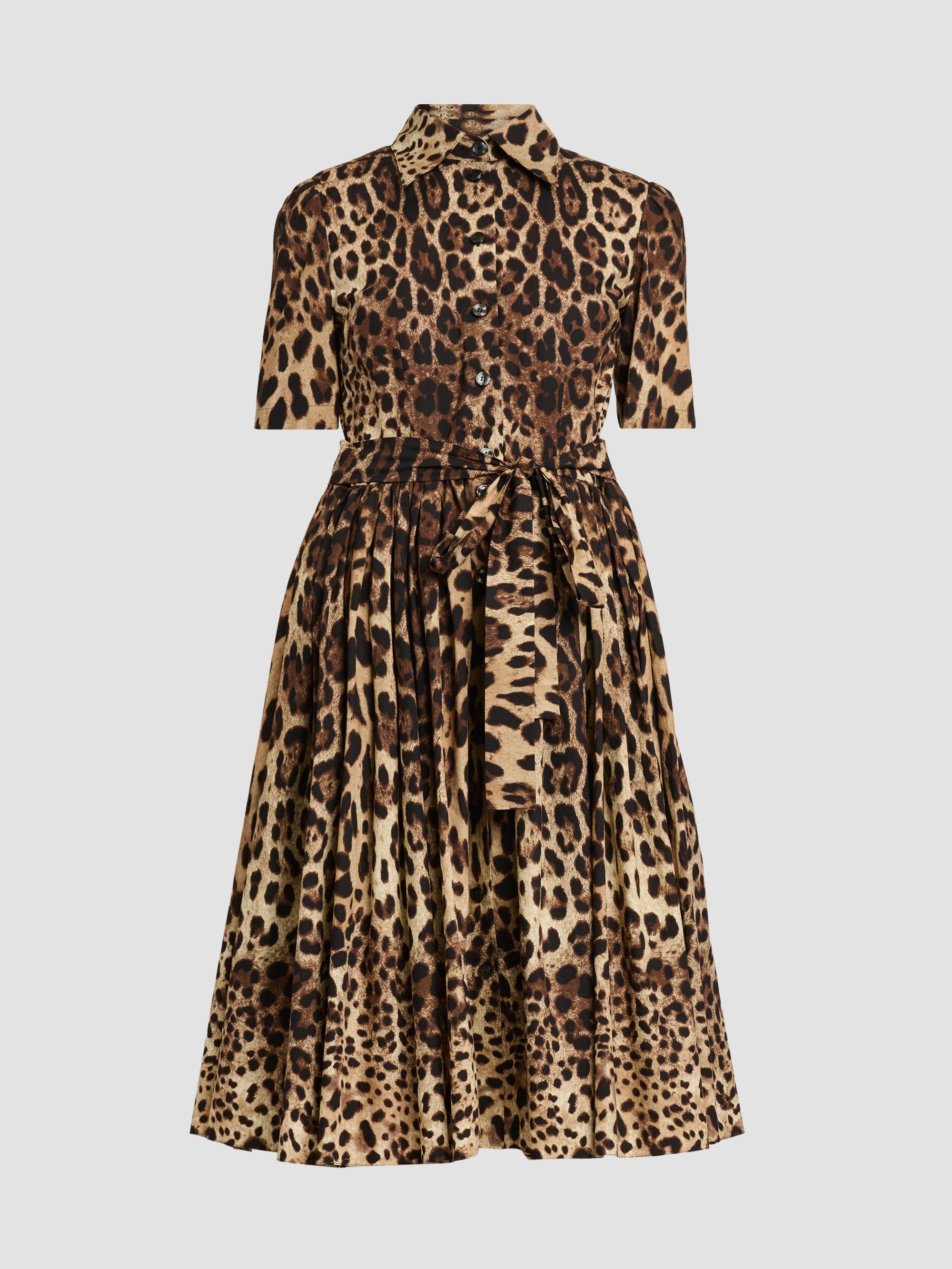 Dolce&Gabbana Leopard-Print Cotton Off-The-Shoulder Minidress