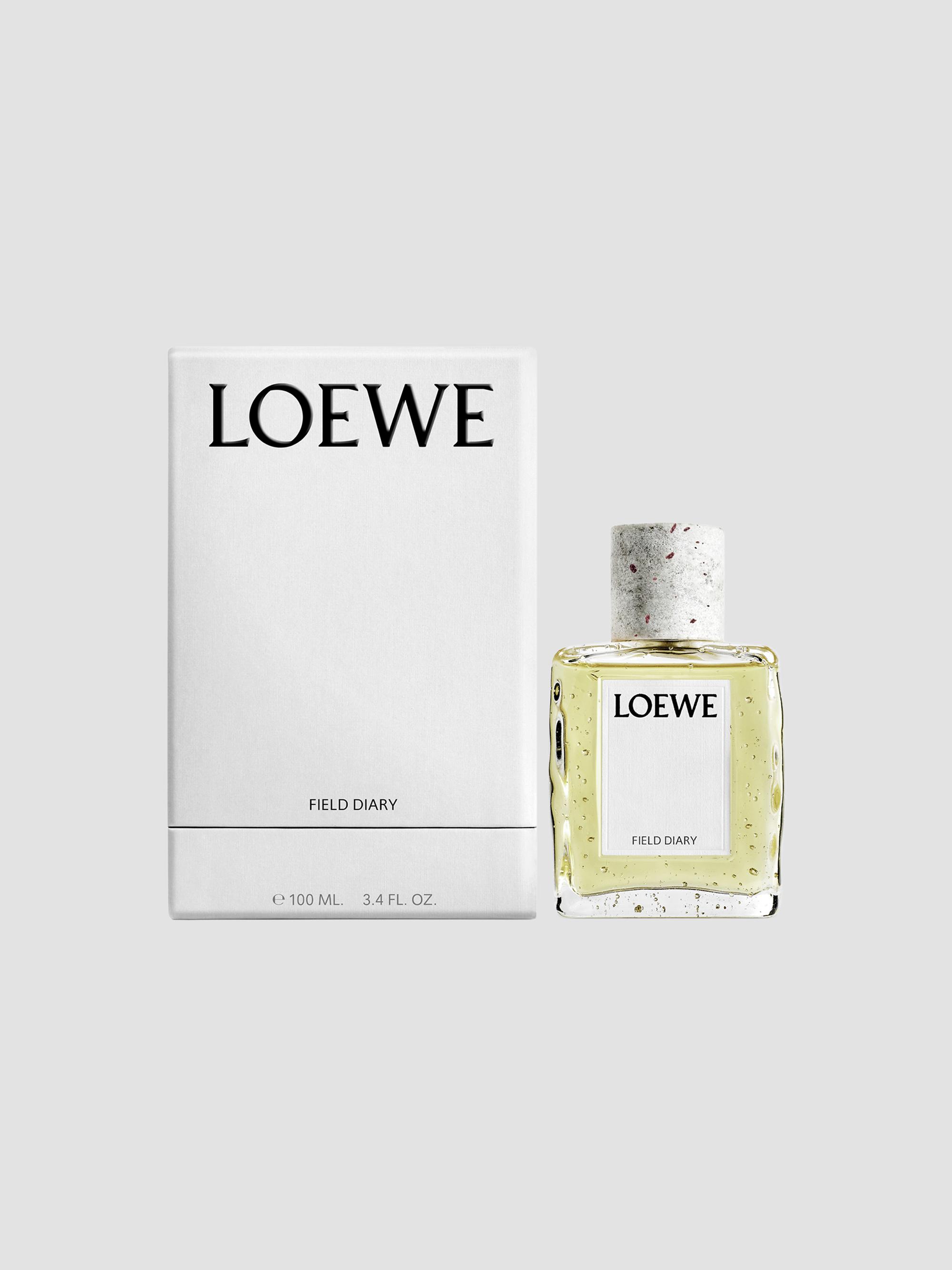 LOEWE Perfumes LOEWE Aire Sutileza 3-Piece Gift Set | Saks Fifth