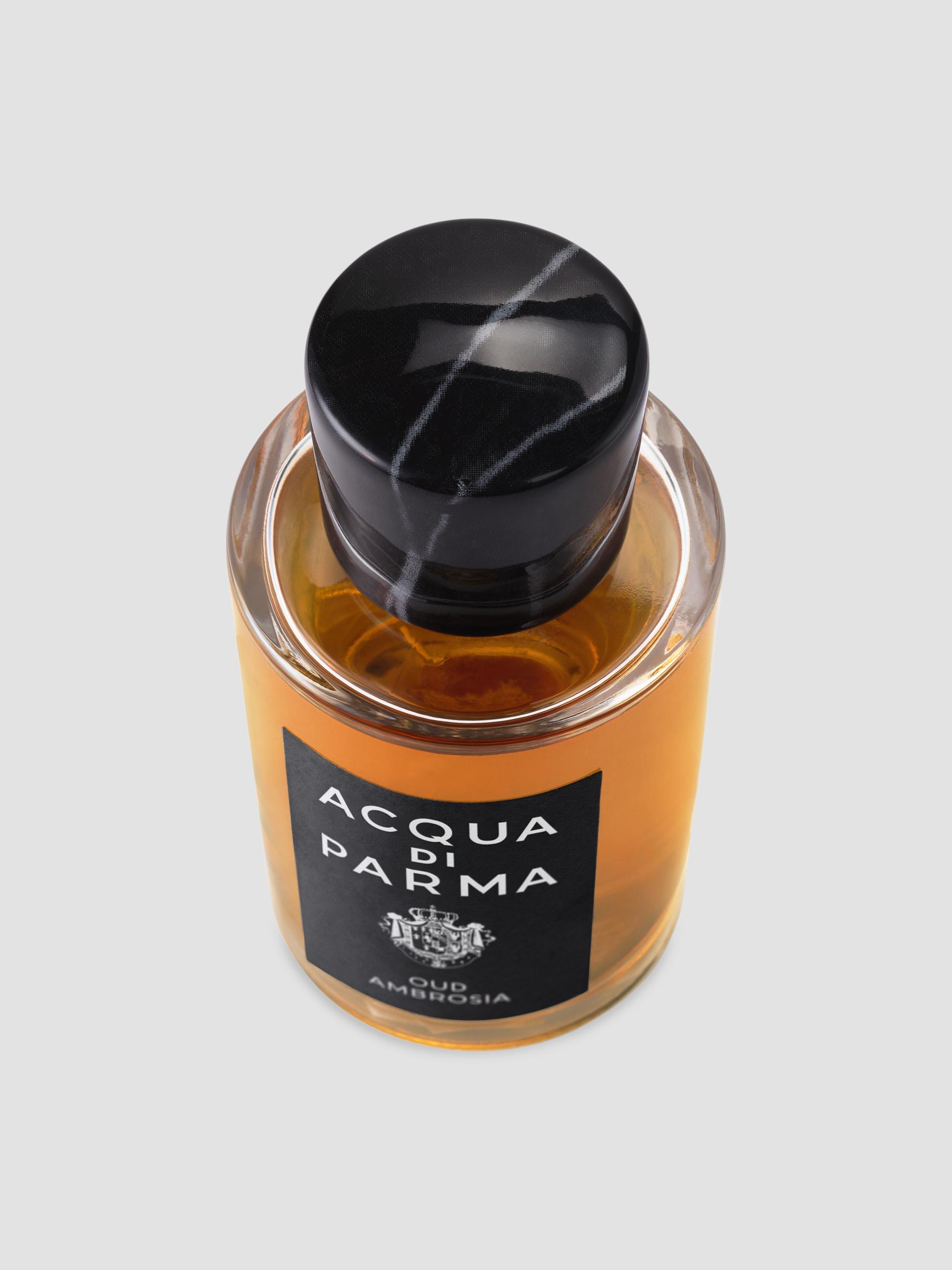 Acqua di Parma Signatures Of The Sun Oud Ambrosia Eau De Parfum