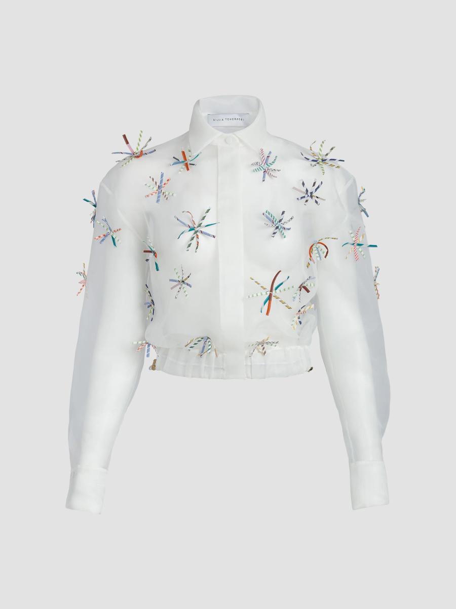 Silvia Tcherassi Women's Katniss Embroidered Cropped Jacket In Multicolor Stripes