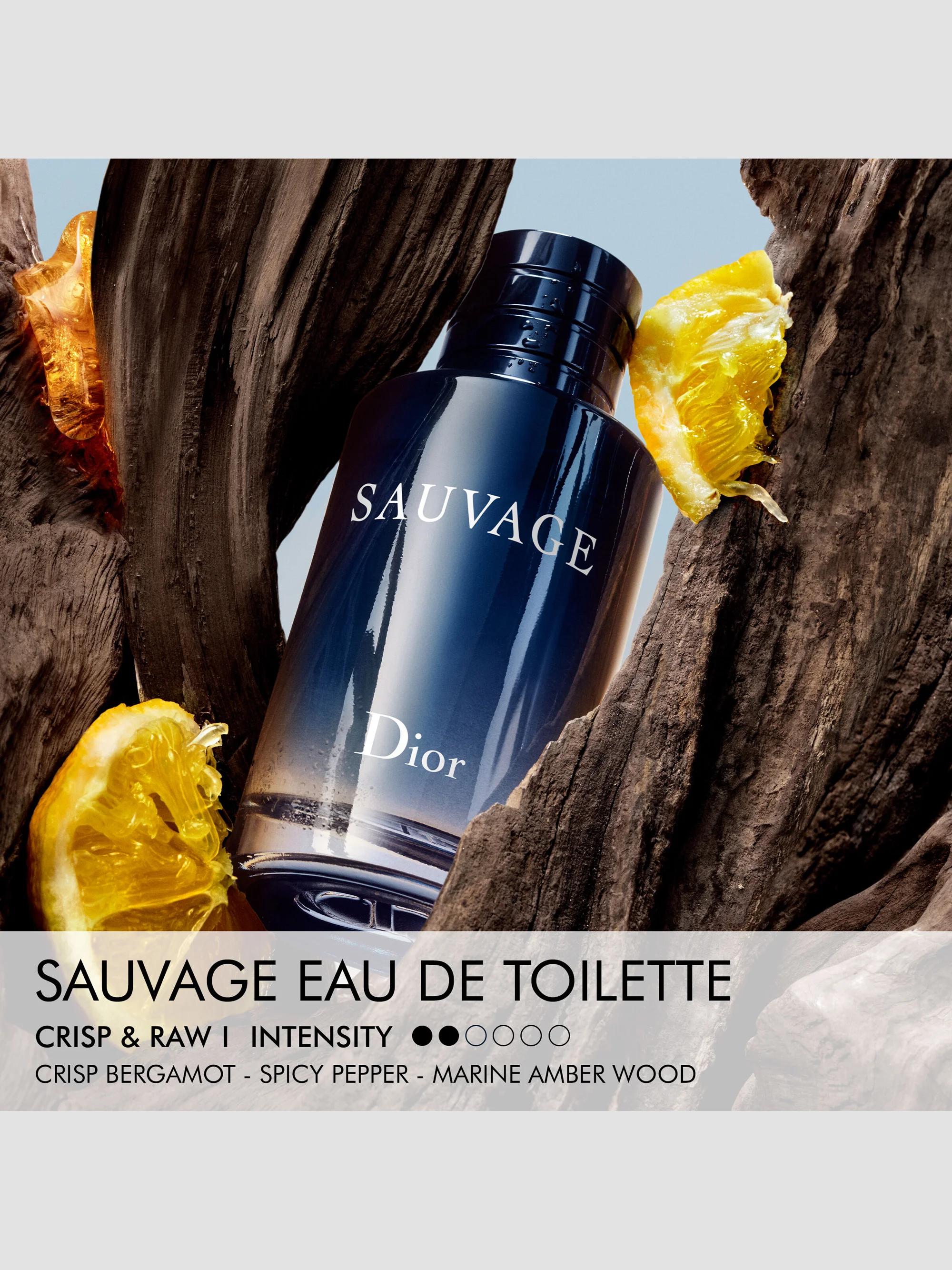Dior ??Sauvage 2-Piece Eau de Toilette & Travel Spray Set | Saks