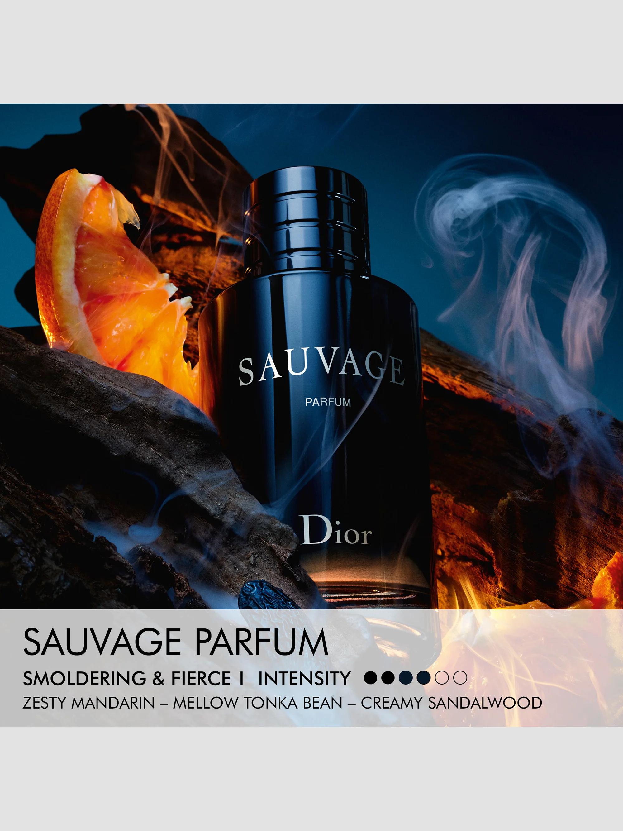 Dior Sauvage 2-Piece Parfum & Travel Spray Set | Saks Fifth Avenue
