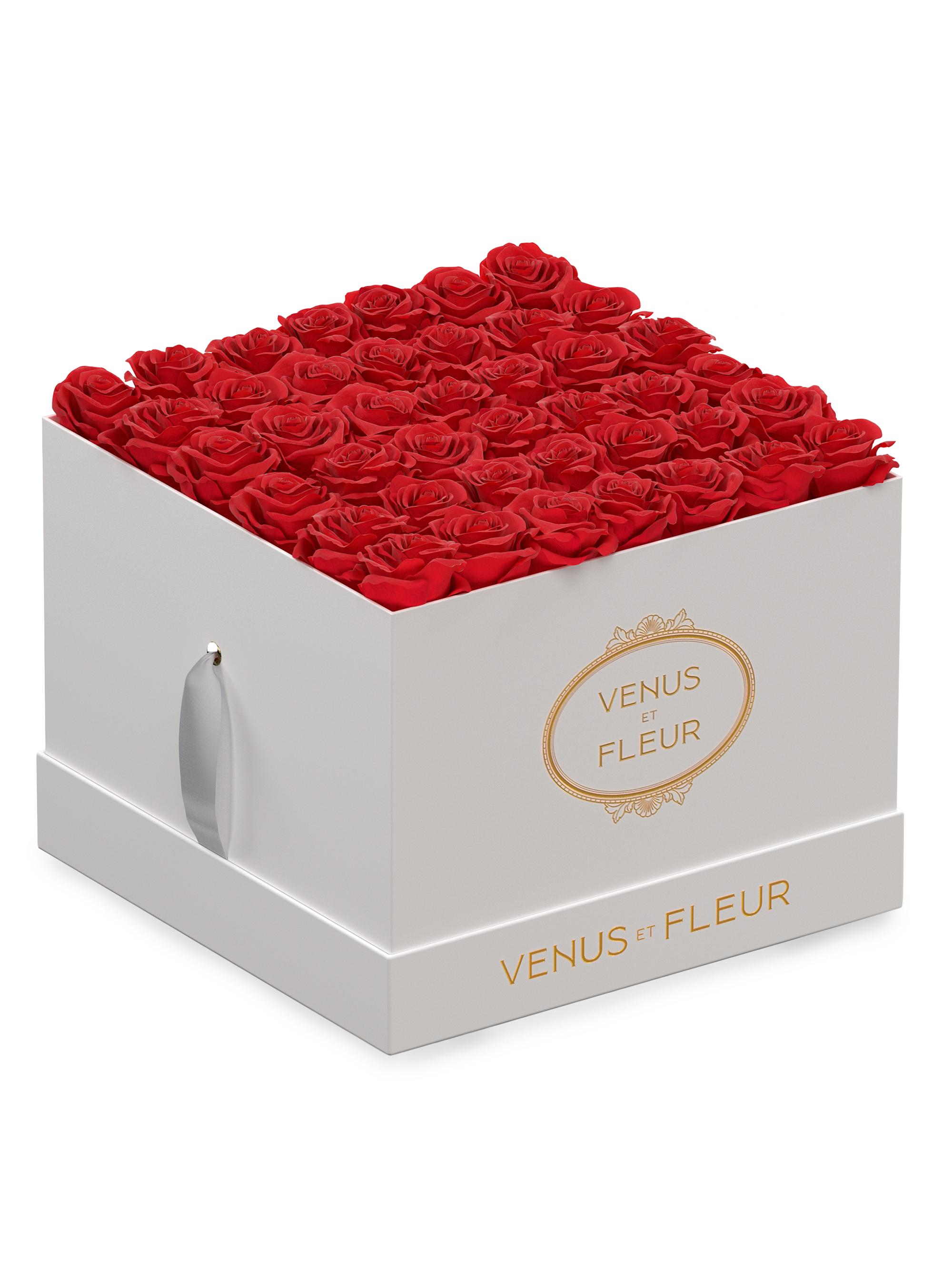 Venus et Fleur Eternity De Venus Large Square Eternity Roses - Red Rose