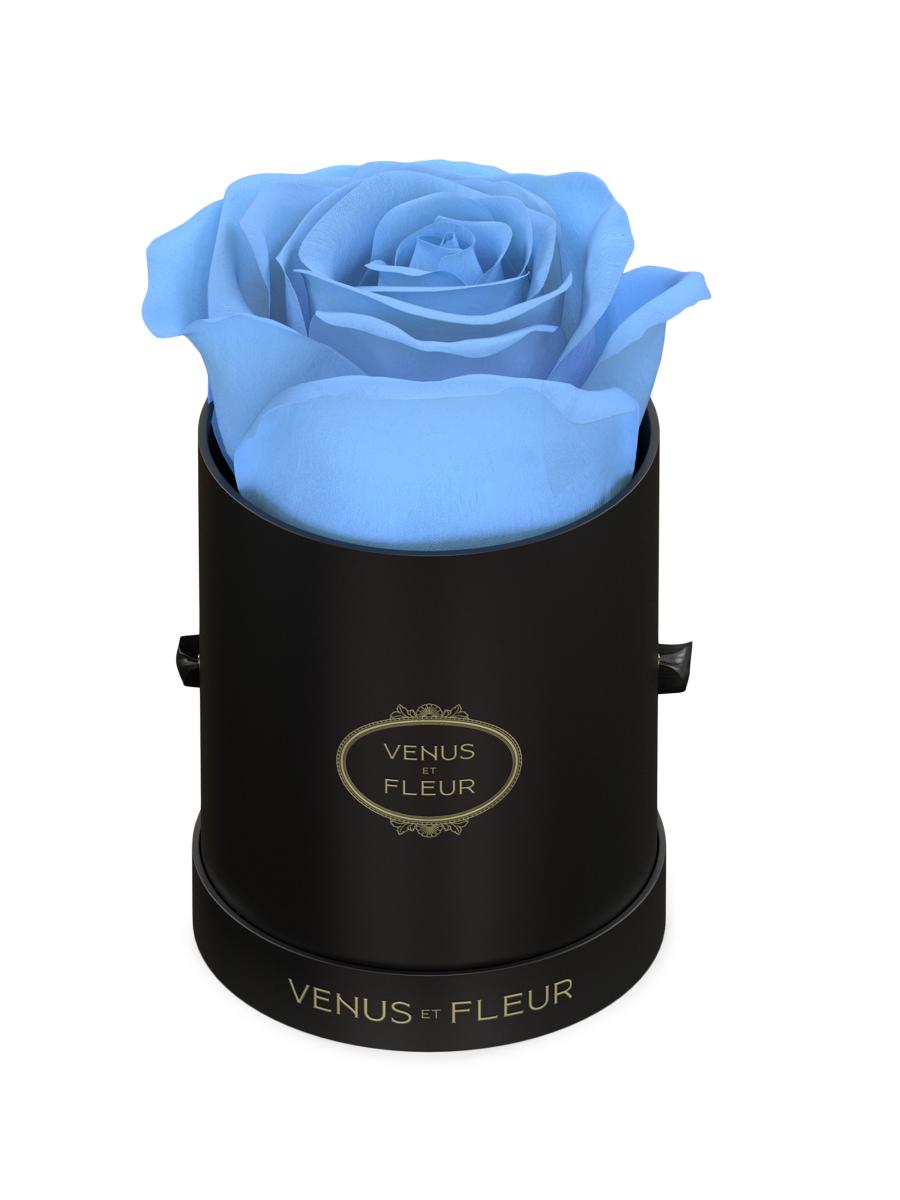 Venus et Fleur Eternity De Venus Le Mini Round Eternity Rose