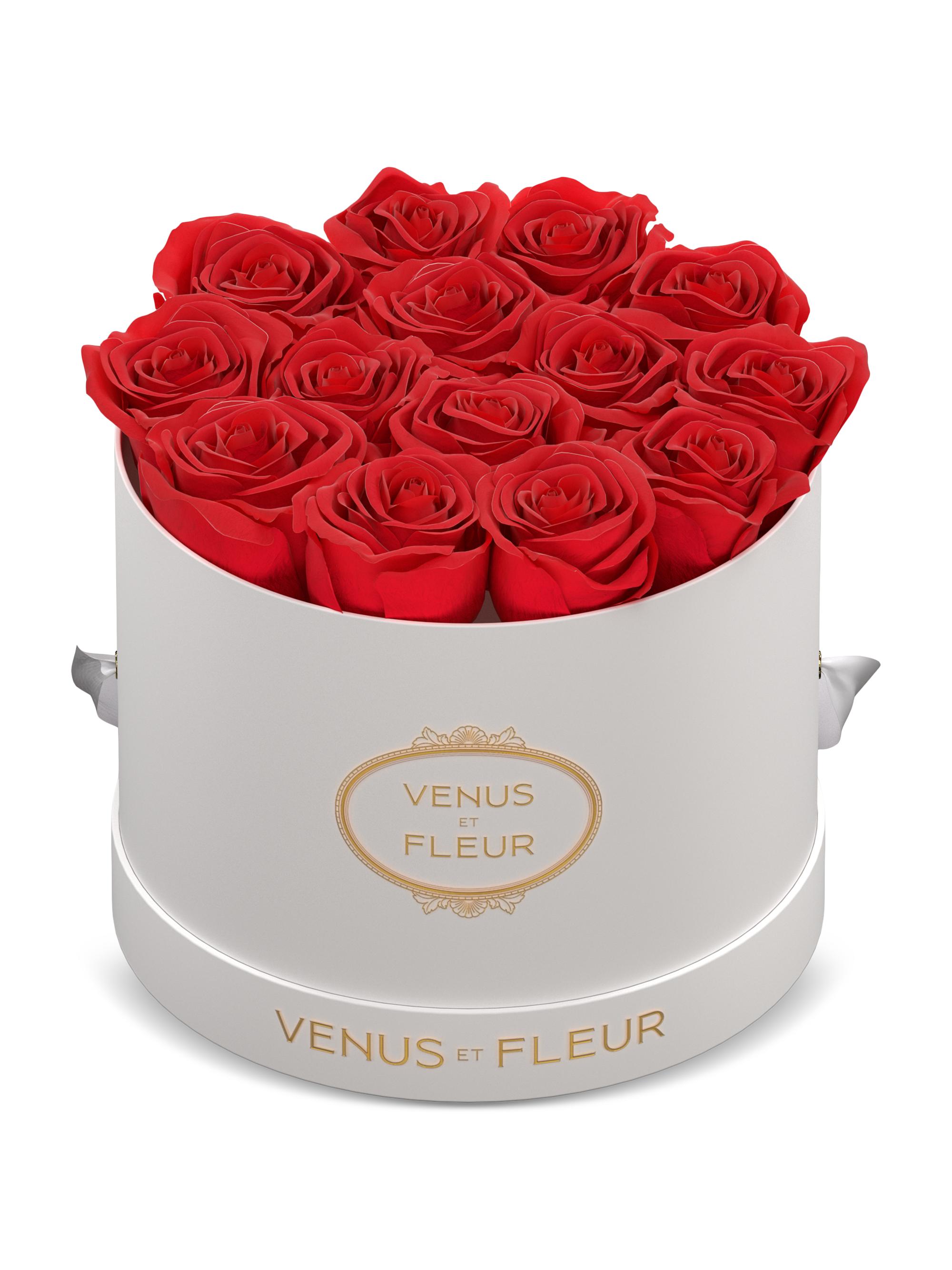Venus et Fleur Classic Small Round Box with Pure White Roses - Red