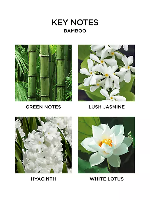 Bamboo Gift Trio | Nest New York