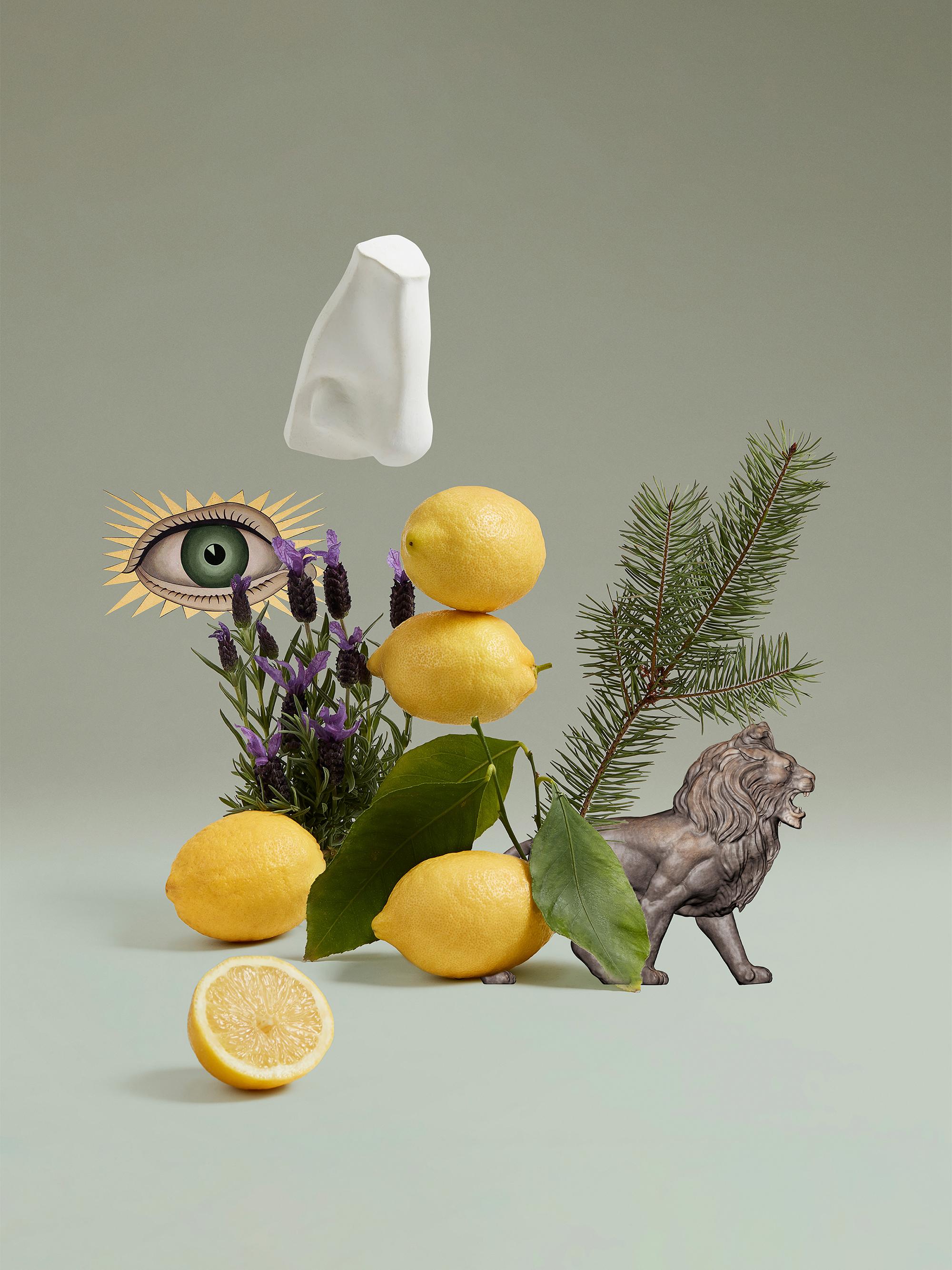 Penhaligon's Blenheim Bouquet Eau de Toilette | Saks Fifth Avenue