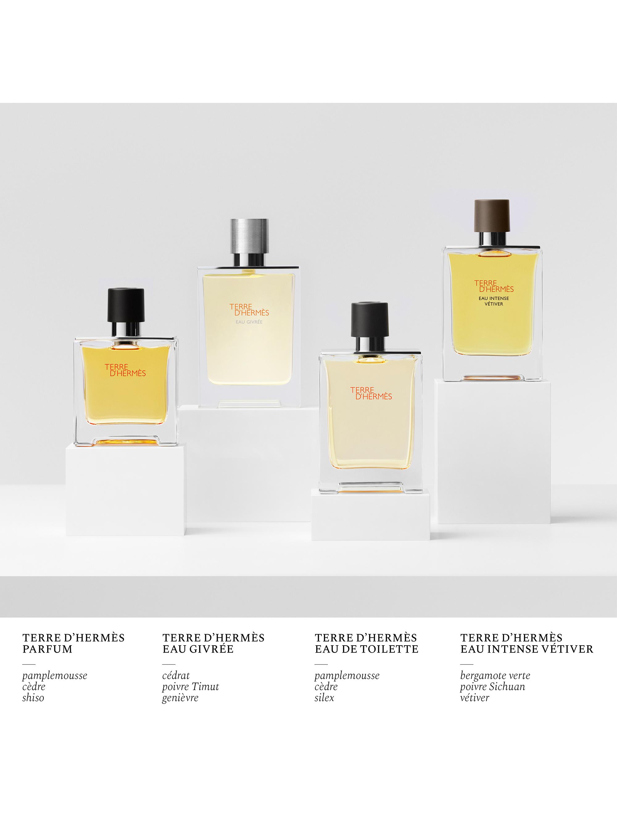 Terre D'Hermès Eau Intense Vetiver