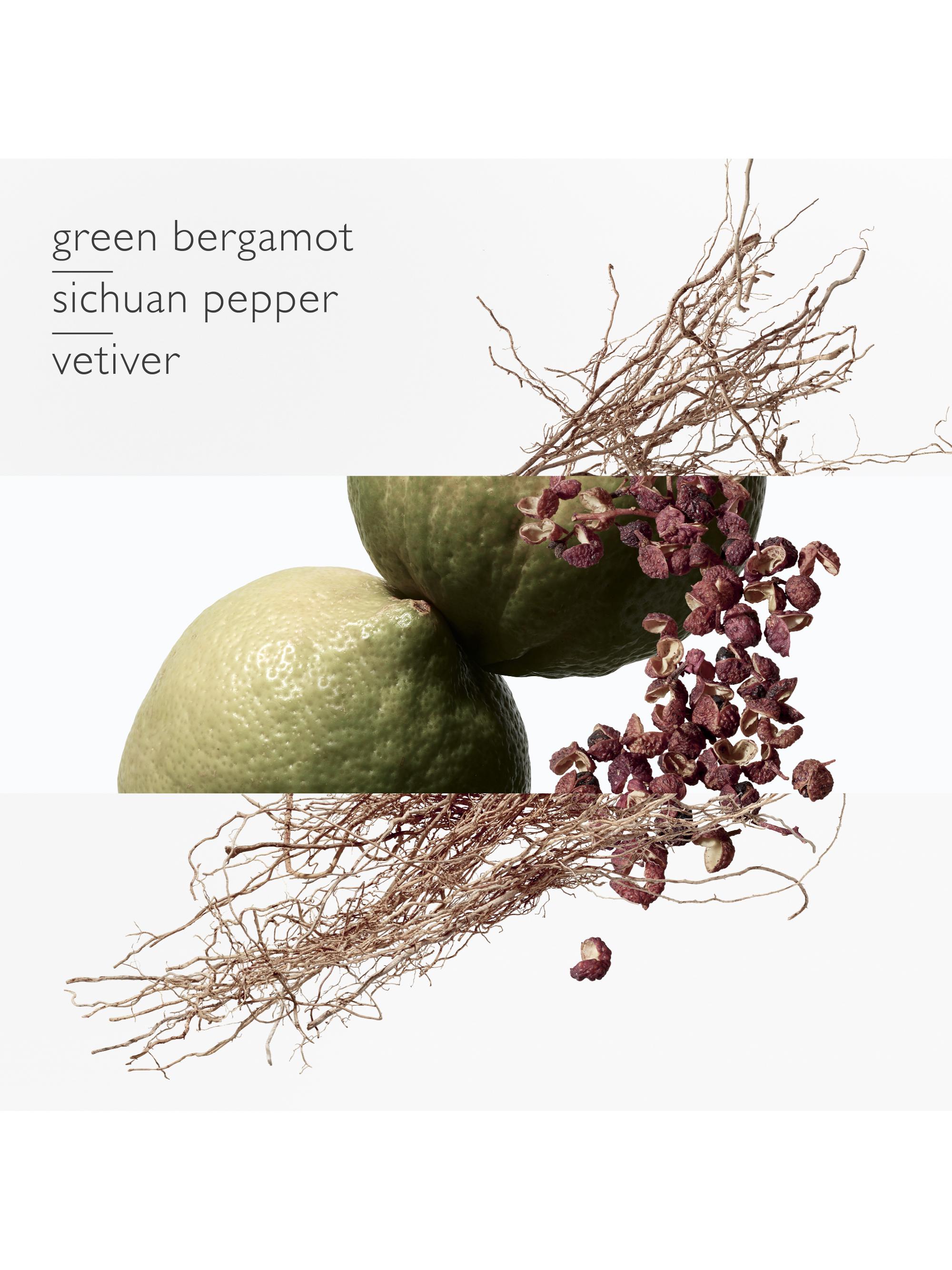 Terre D'Hermès Eau Intense Vetiver