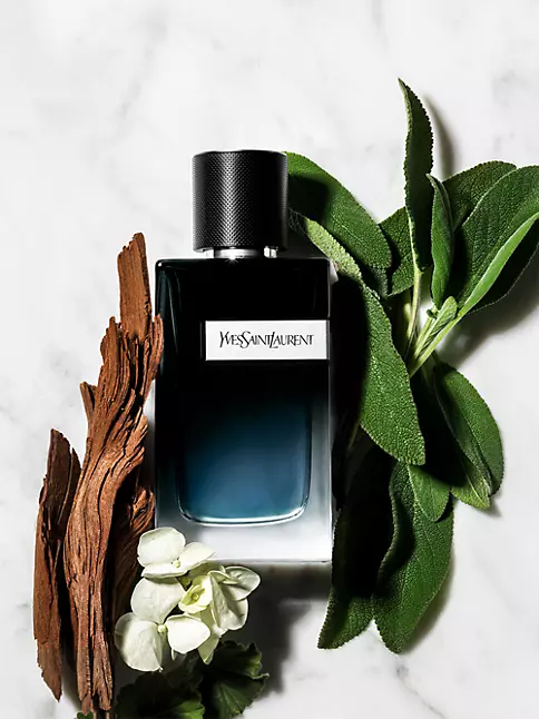 Yves Saint Laurent Y for Men Eau De Parfum Spray 3.3 Fl Ounce  (Pack of 1), Clean : Beauty & Personal Care