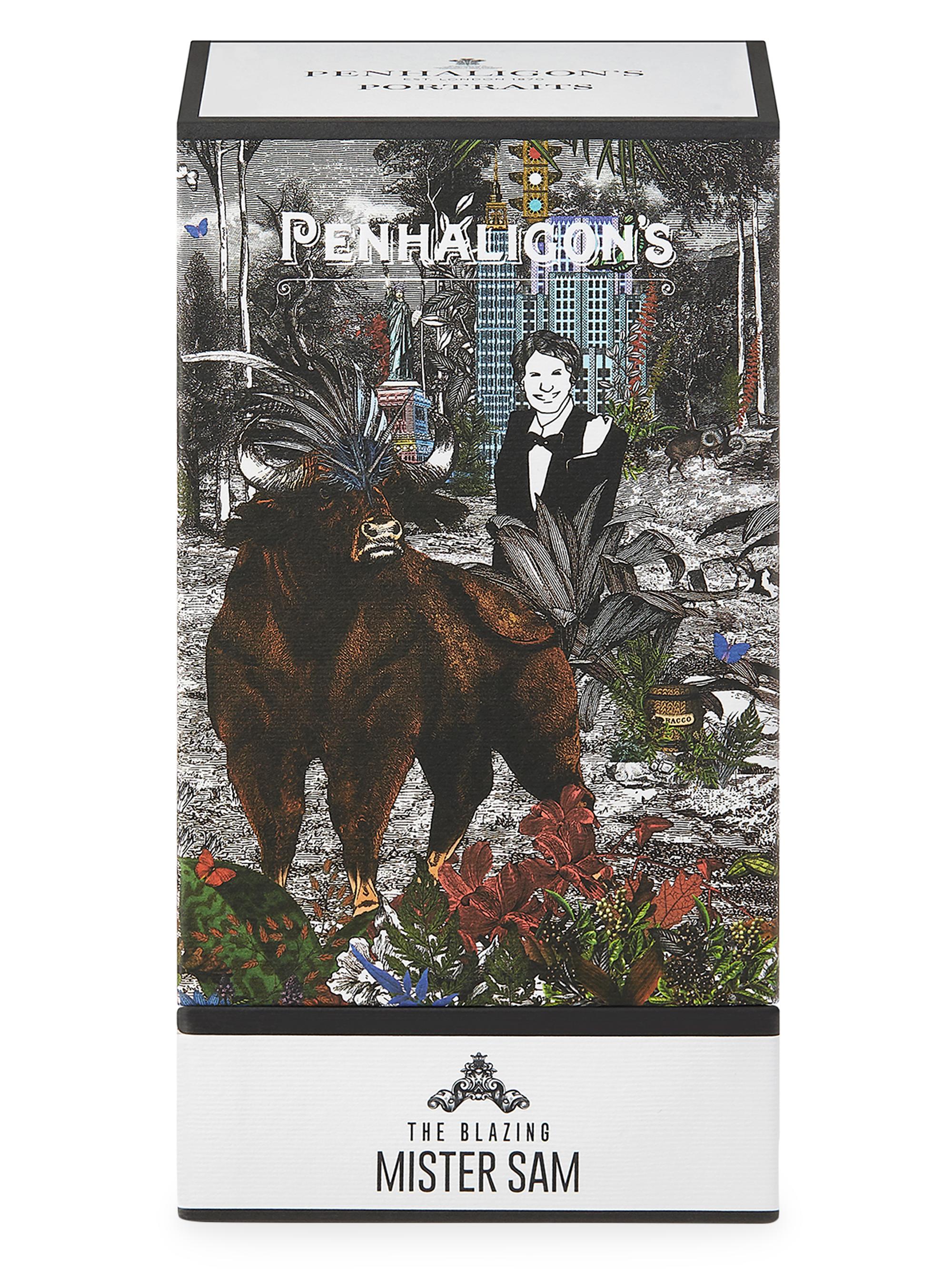 dungrenp 専用　 THE BLAZING MISTER SAM dungrenp 専用 THE BLAZING MISTER SAM The Blazing Mr Sam