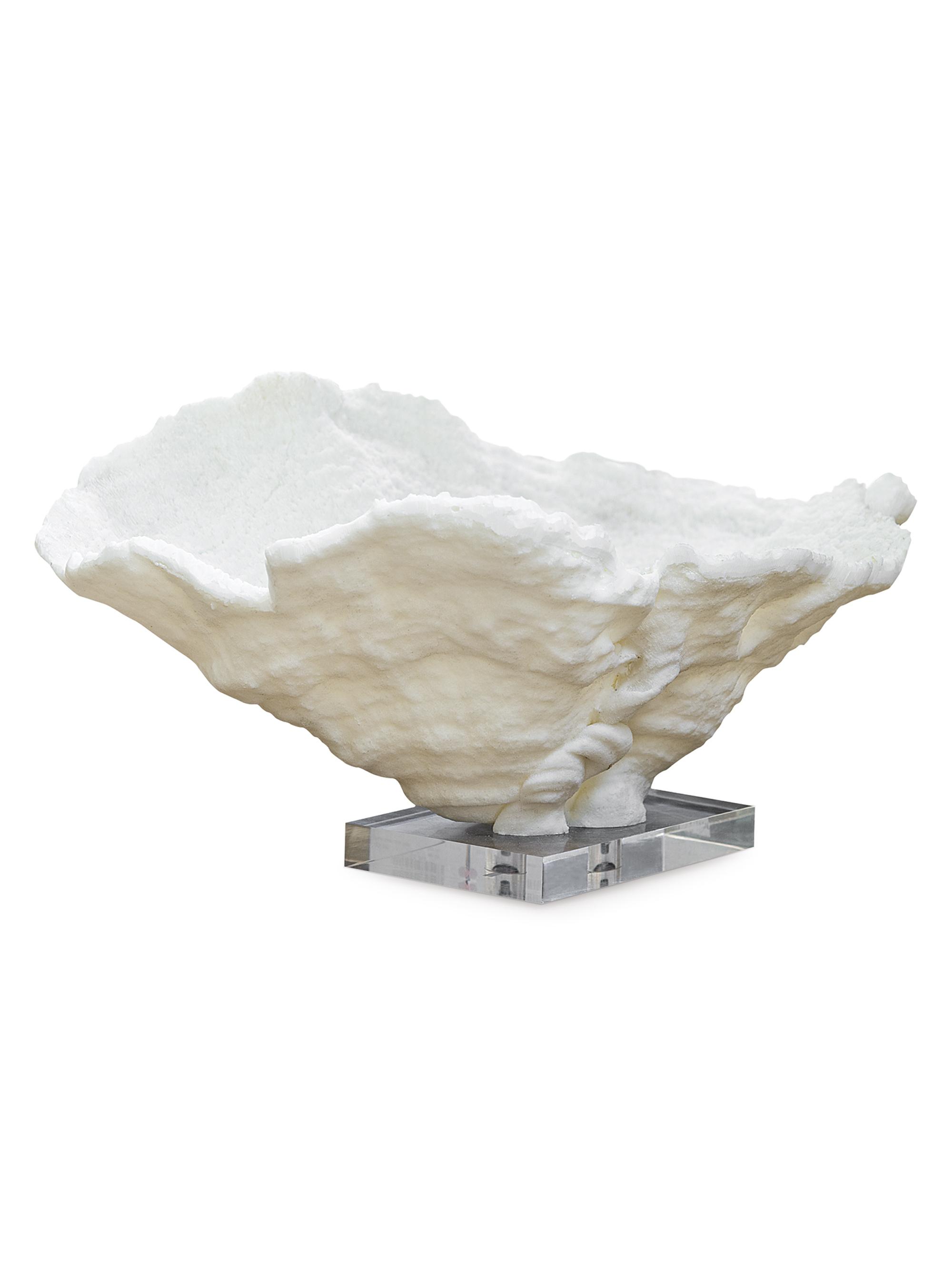 Regina Andrew Large Coral Reef Bowl