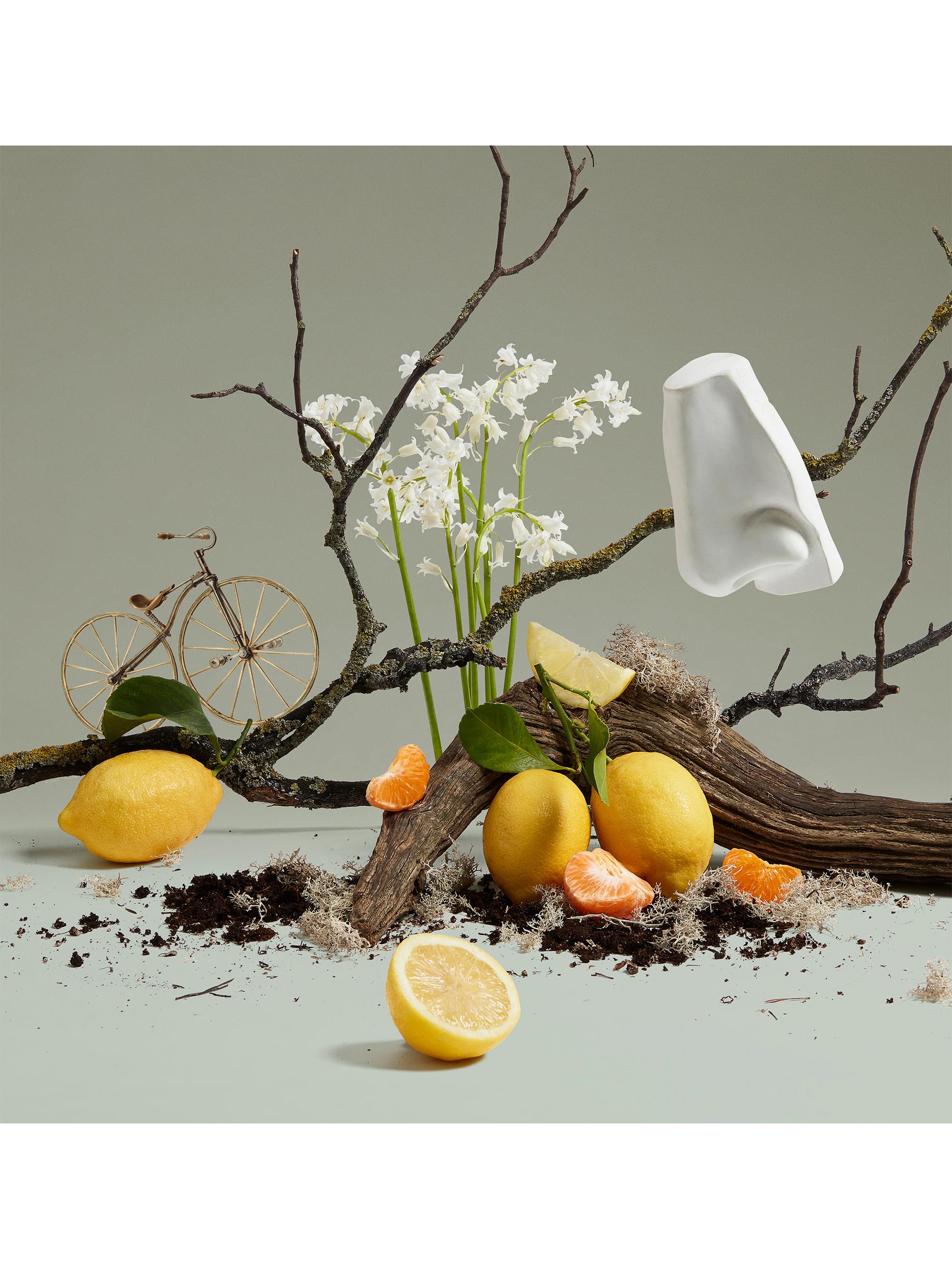 Penhaligon's Quercus Cologne Spray | Saks Fifth Avenue