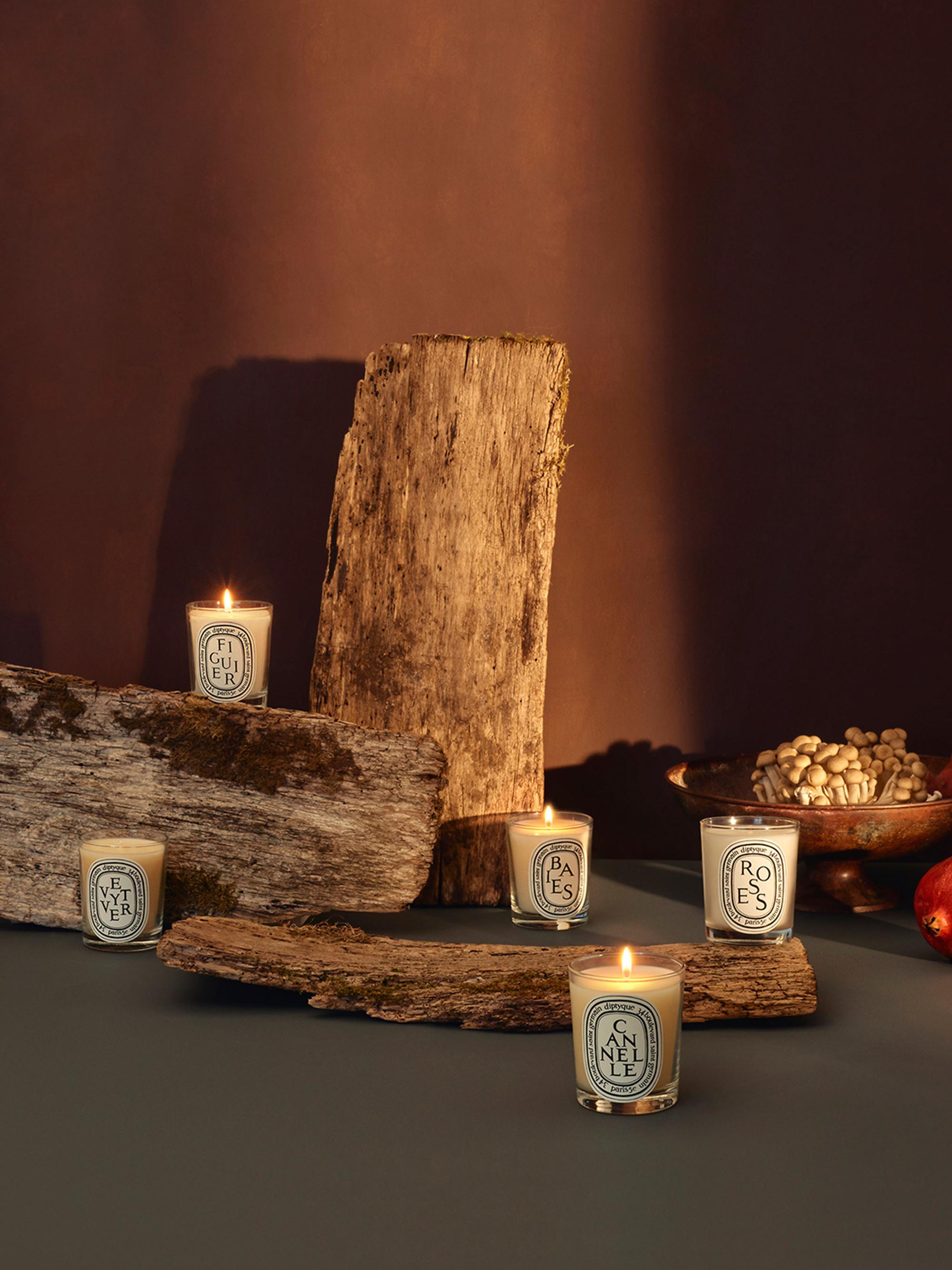 Diptyque Baies Candle | Saks Fifth Avenue